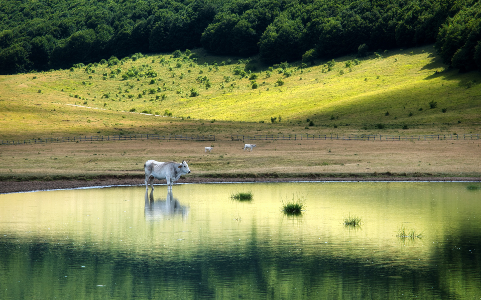 Sibillini - Pantani di Accumoli (RI)