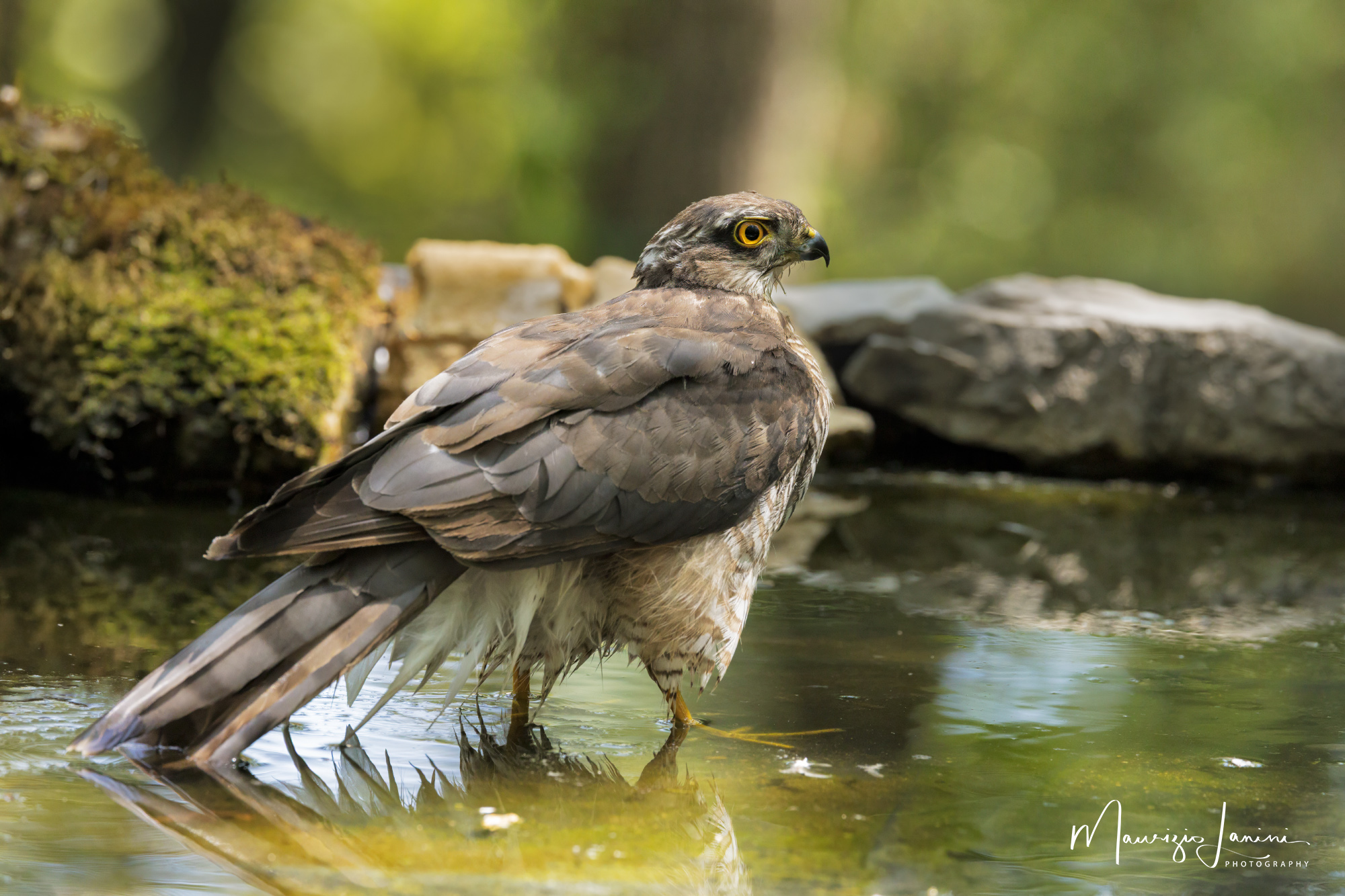 The lady refreshes herself