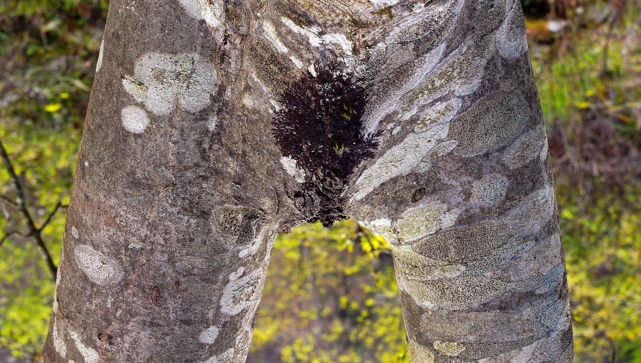 Sempre un bel vedere la natura!!!