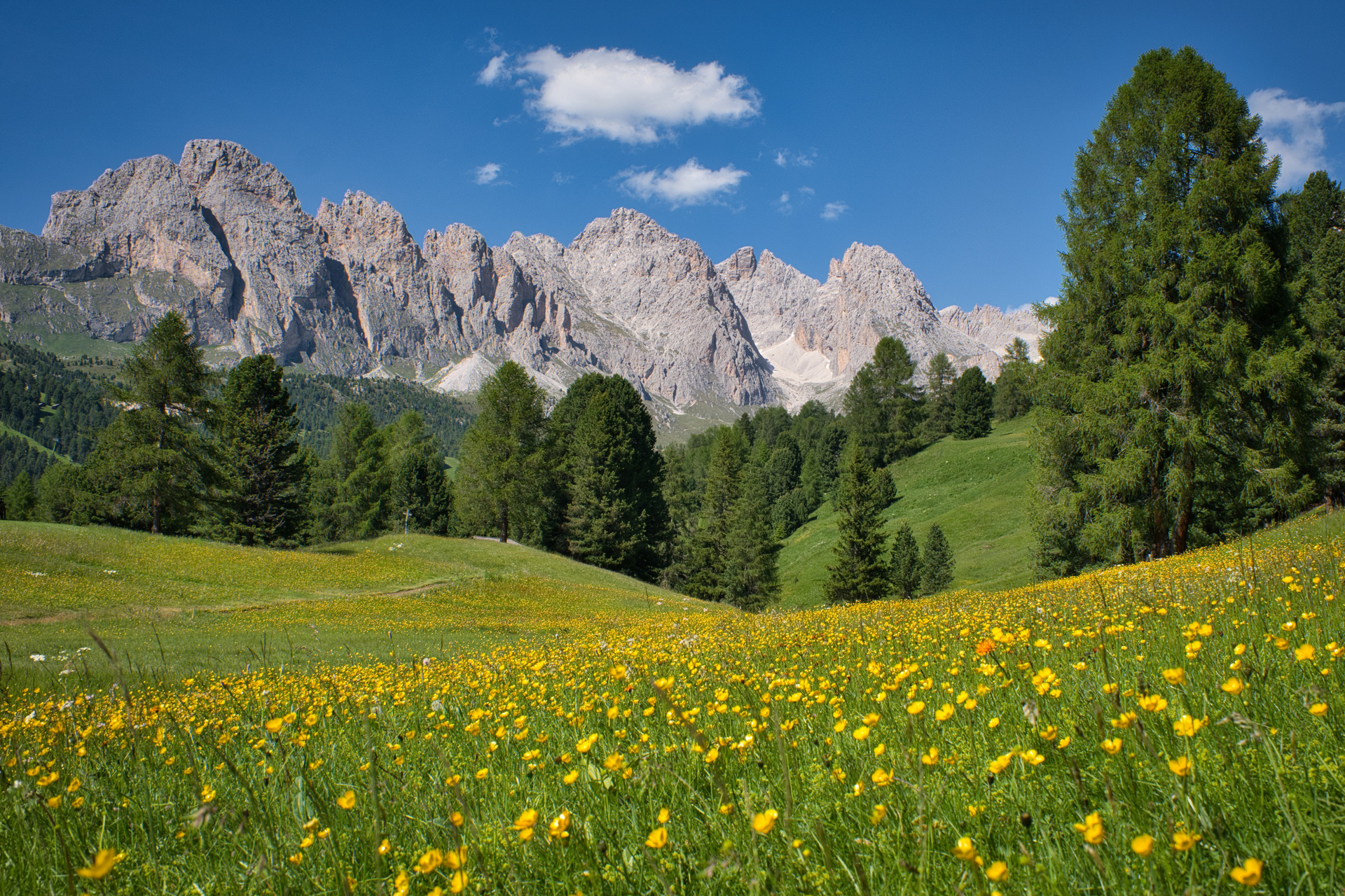 Dolomiti - Val Gardena e le Odle