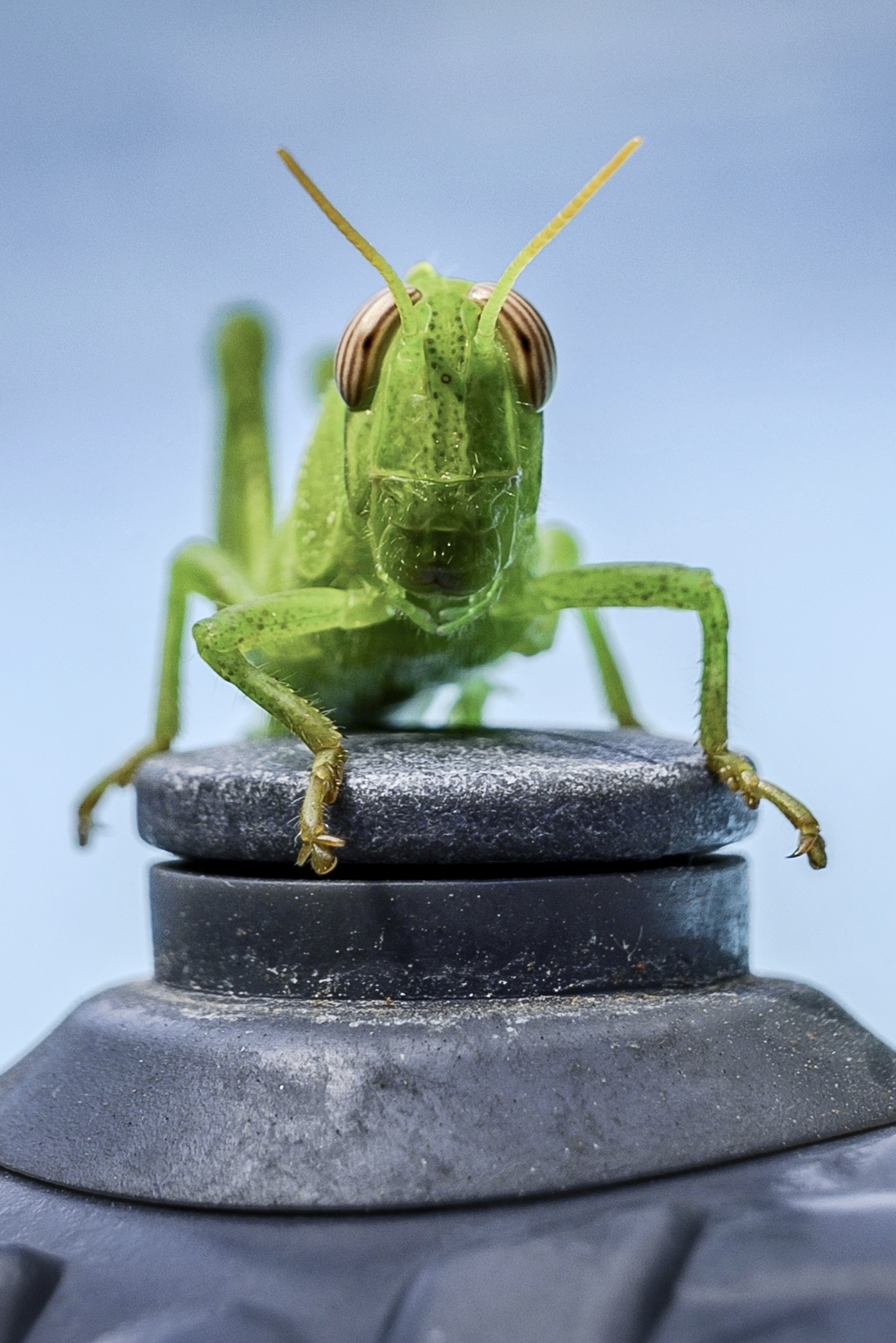 And what do you want?