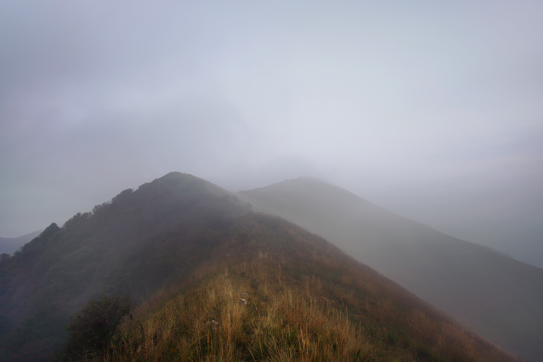 submerged by fog at 1600m above sea level