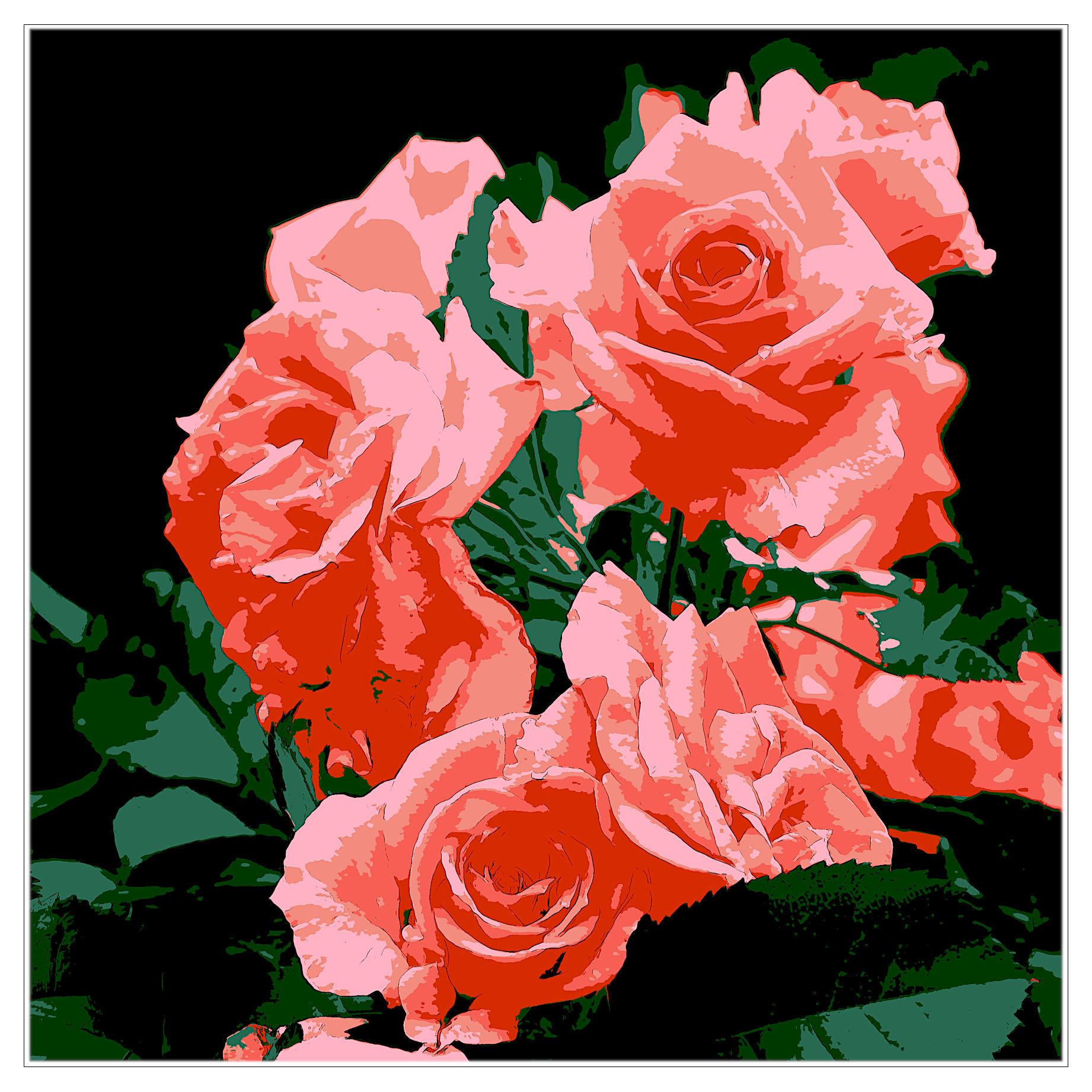 Graphic Roses