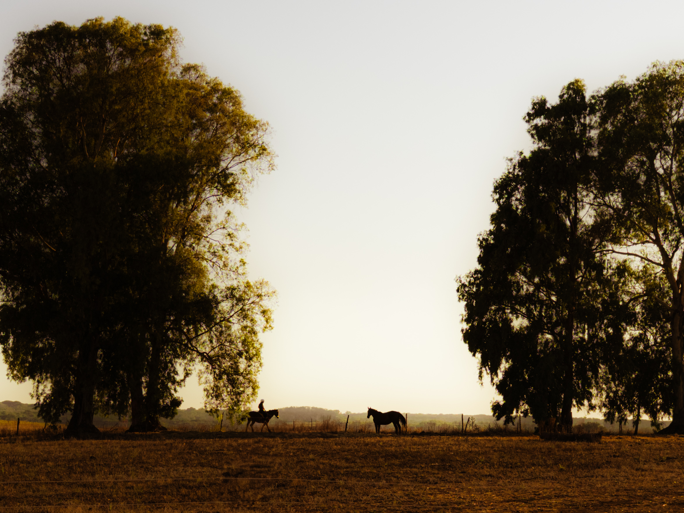 Encounters