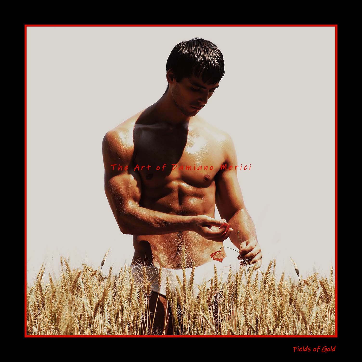 Fields of Gold (2005)
