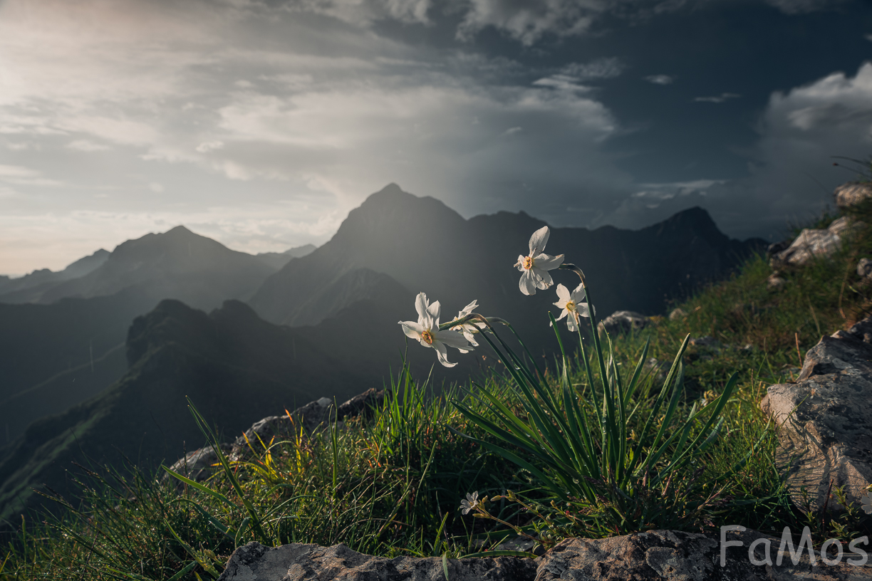 Let's take care of the ...