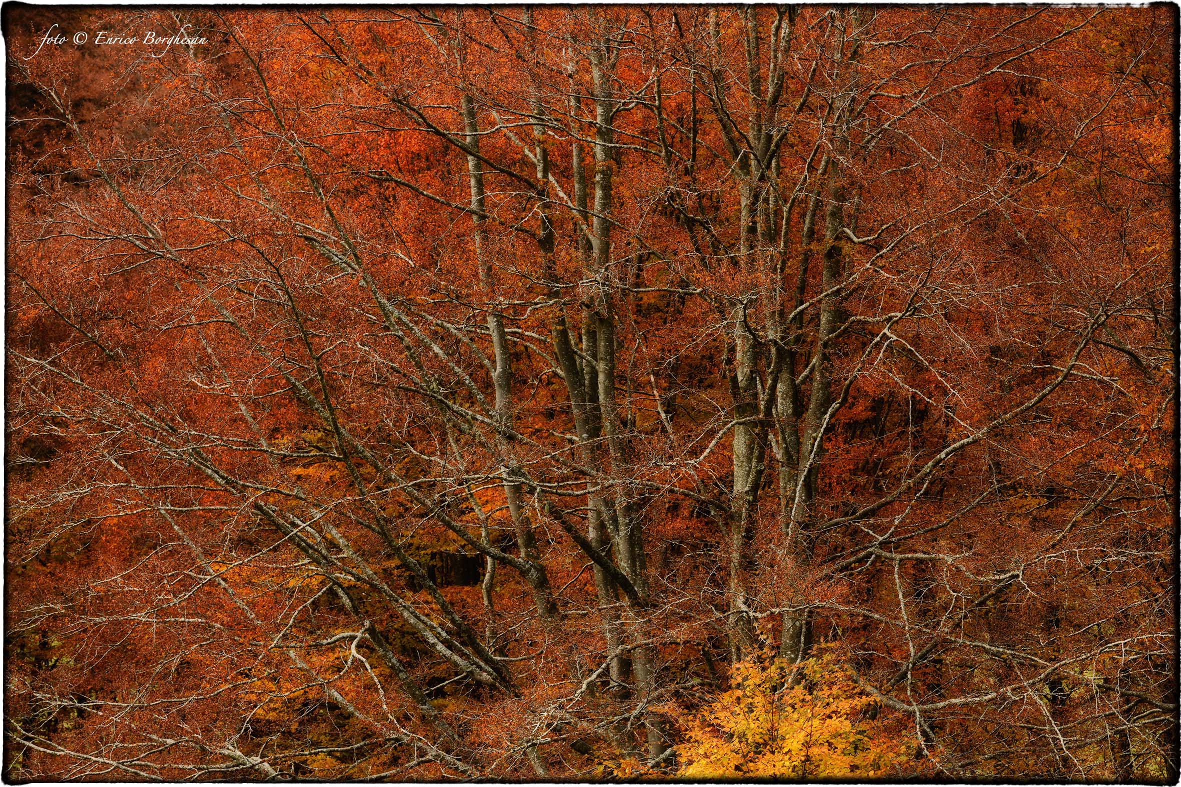 Autunno