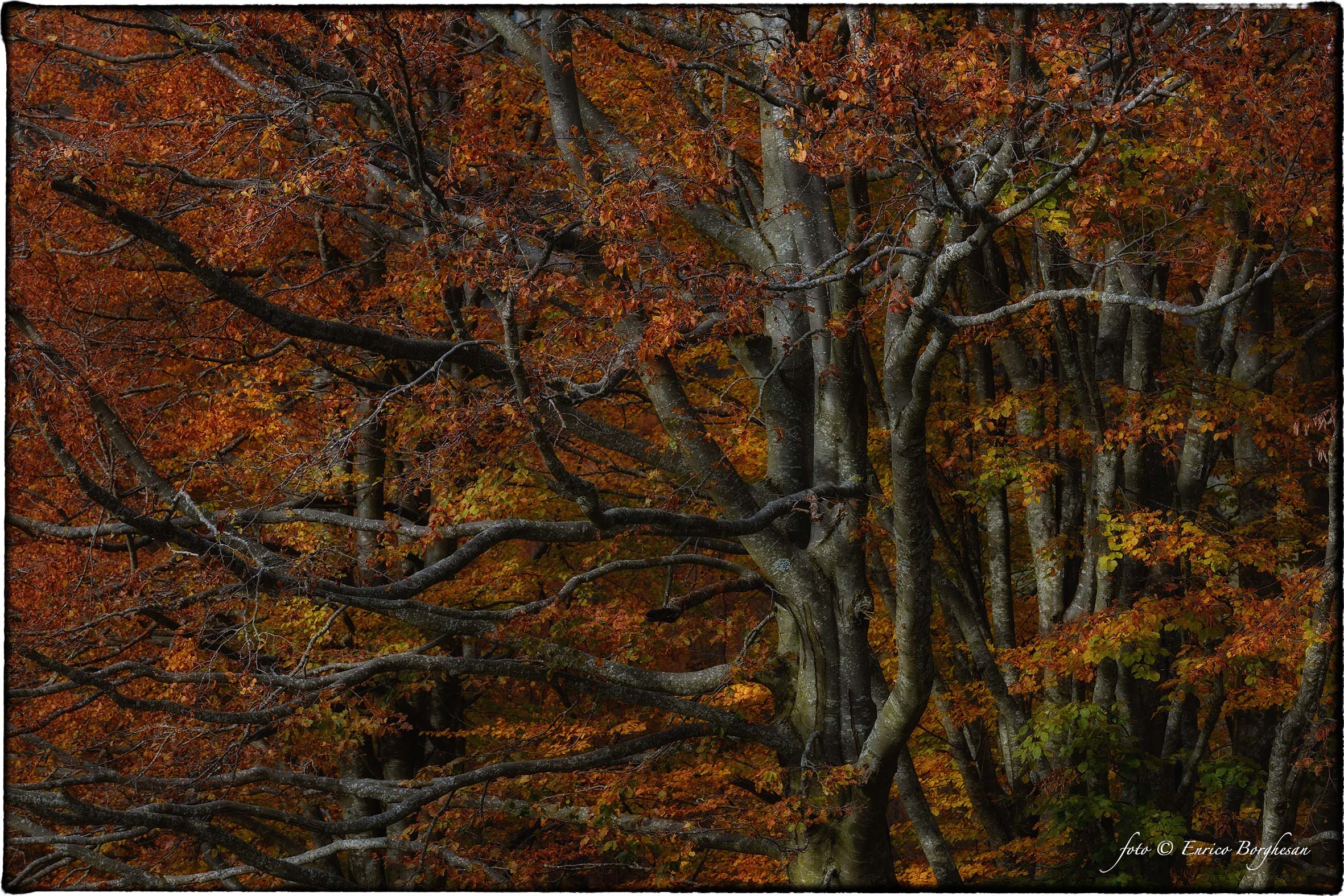 Autunno
