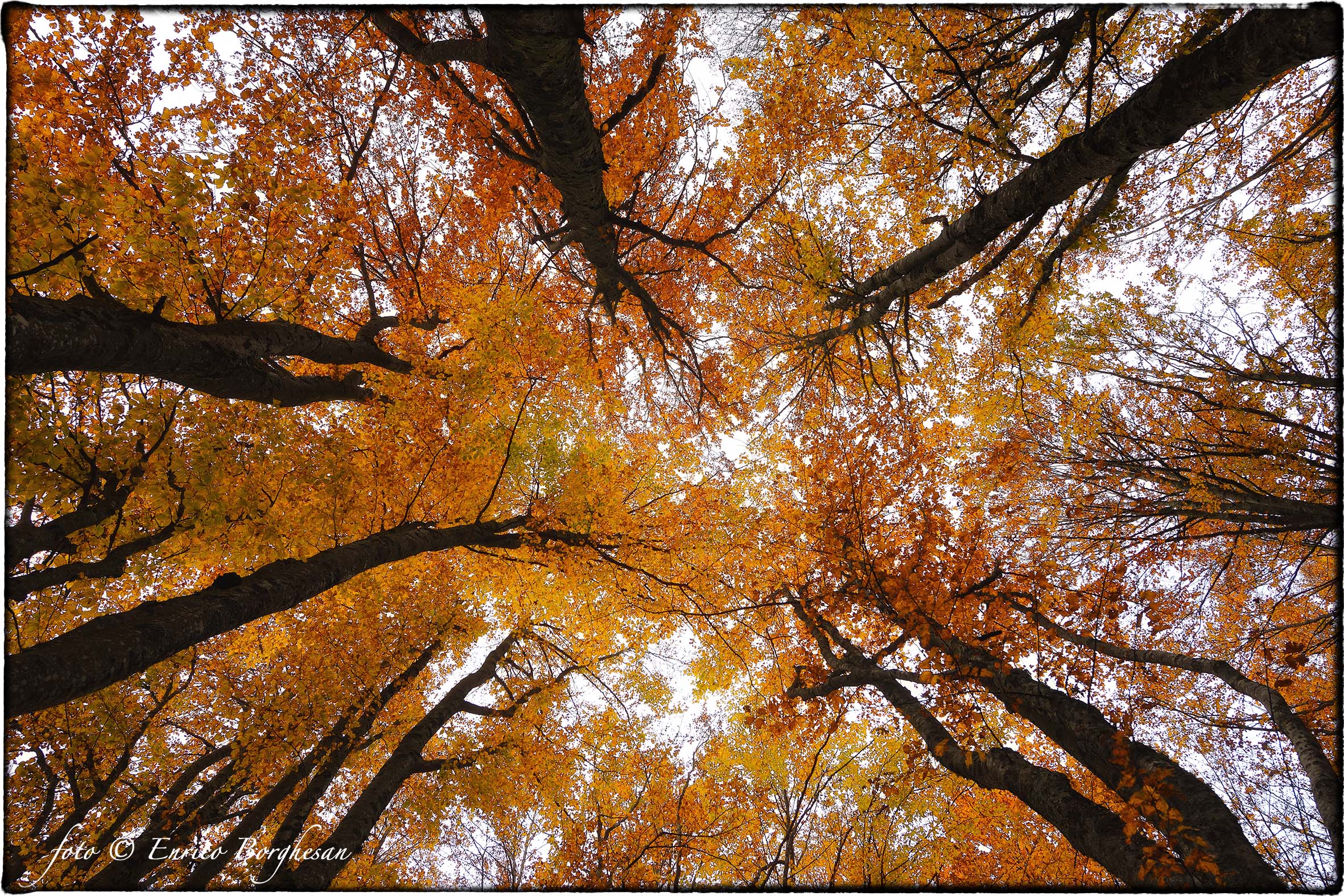Autunno