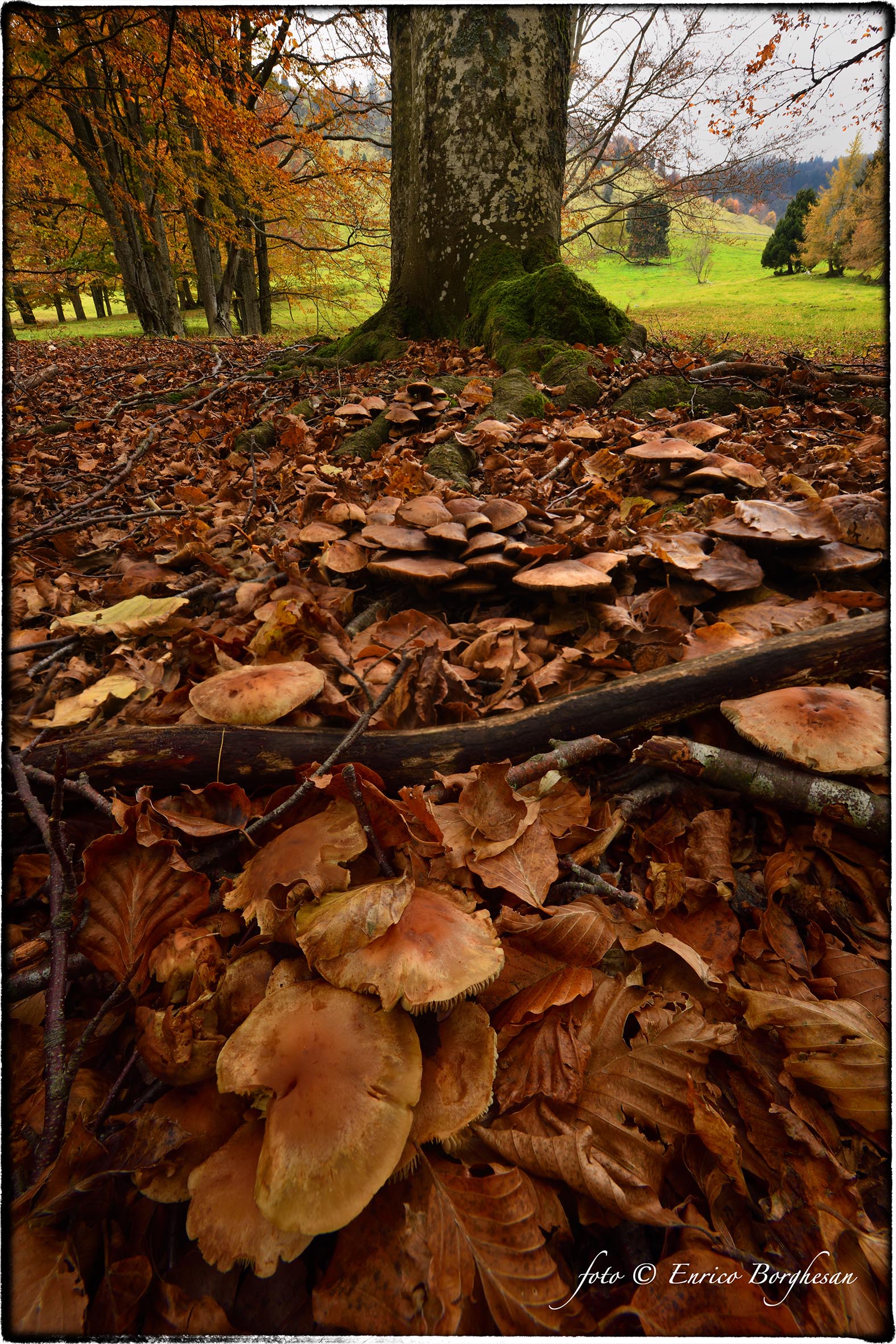 Autunno