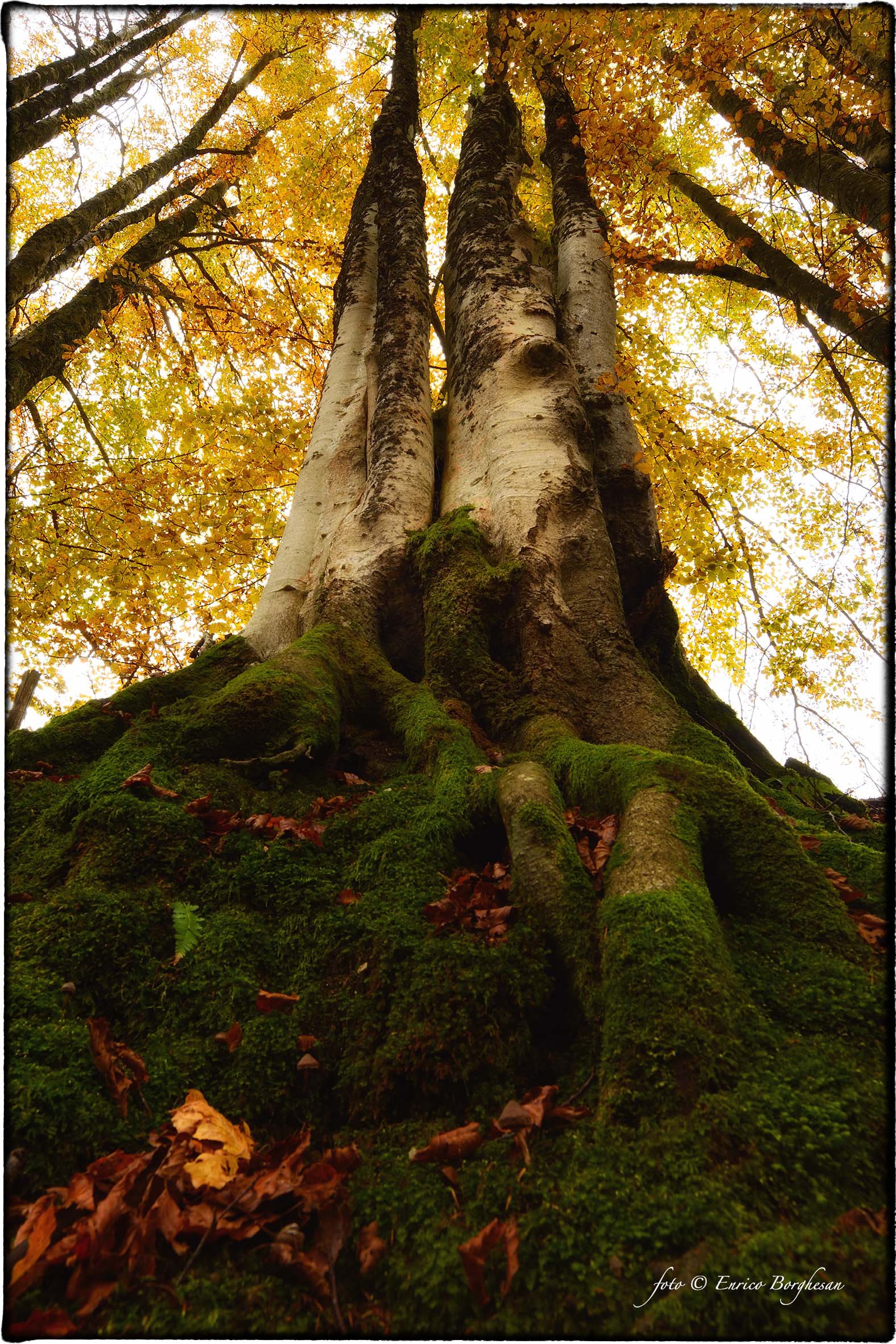 Autunno