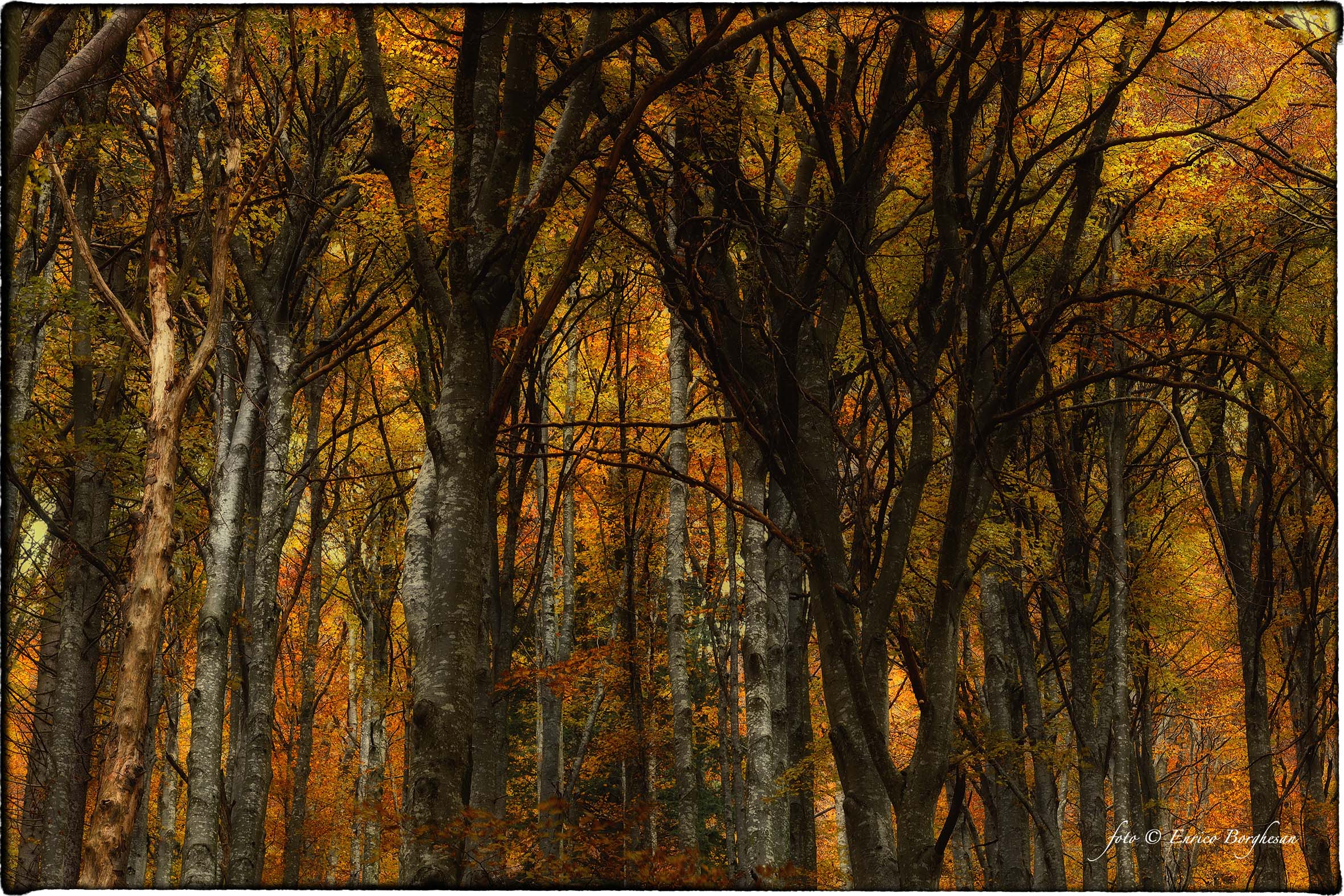 Autunno