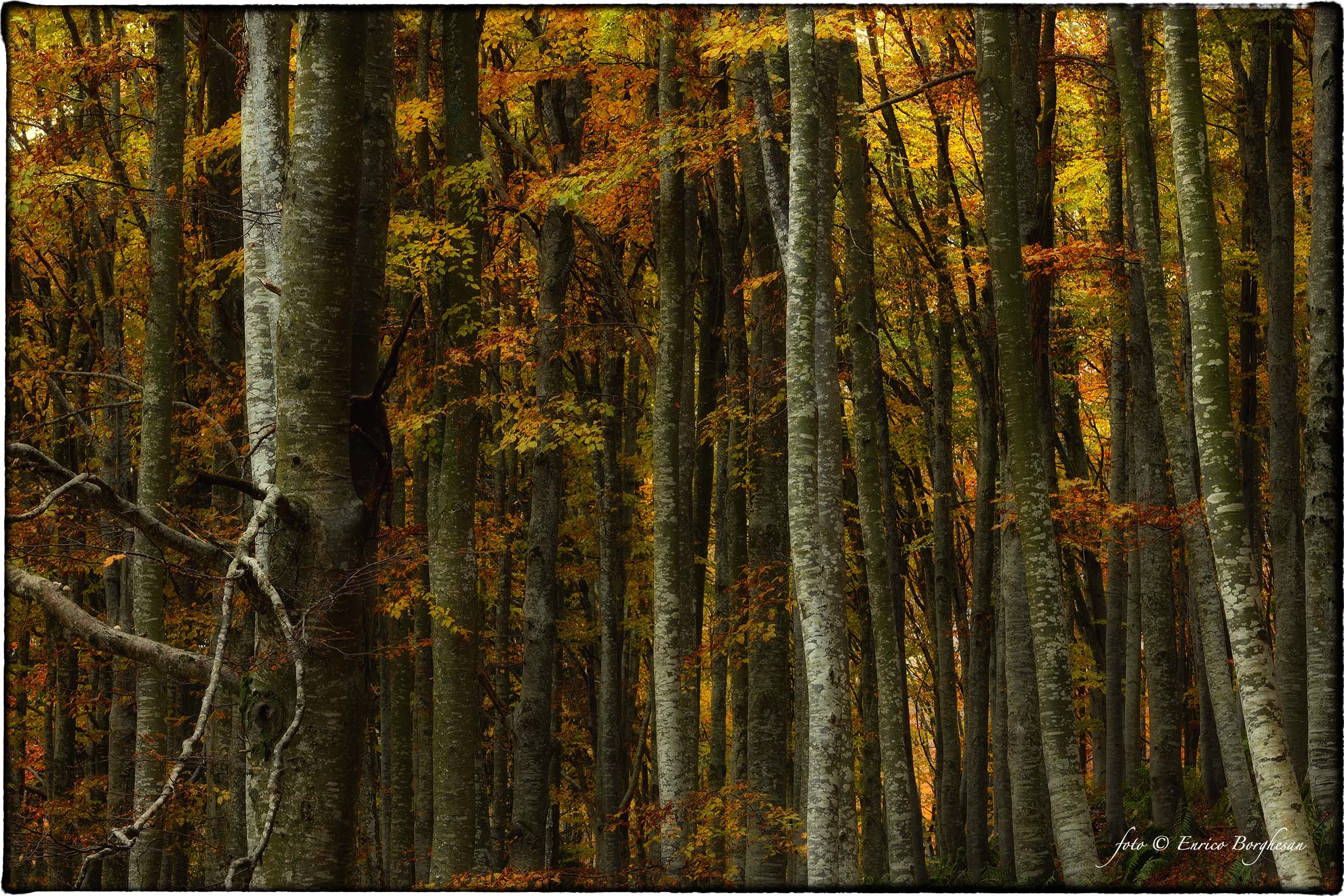 Autunno