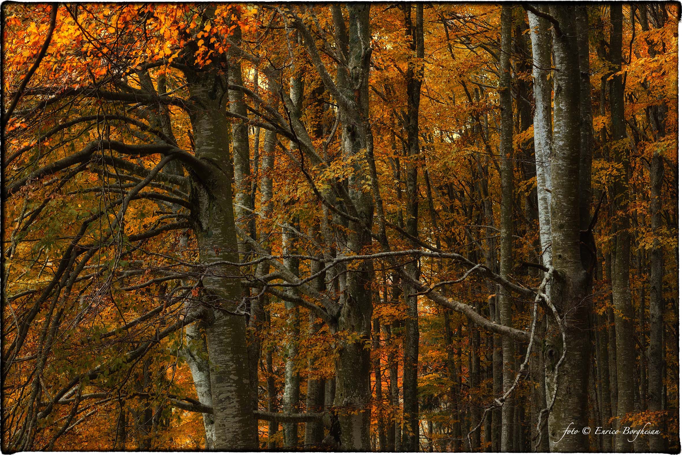 Autunno