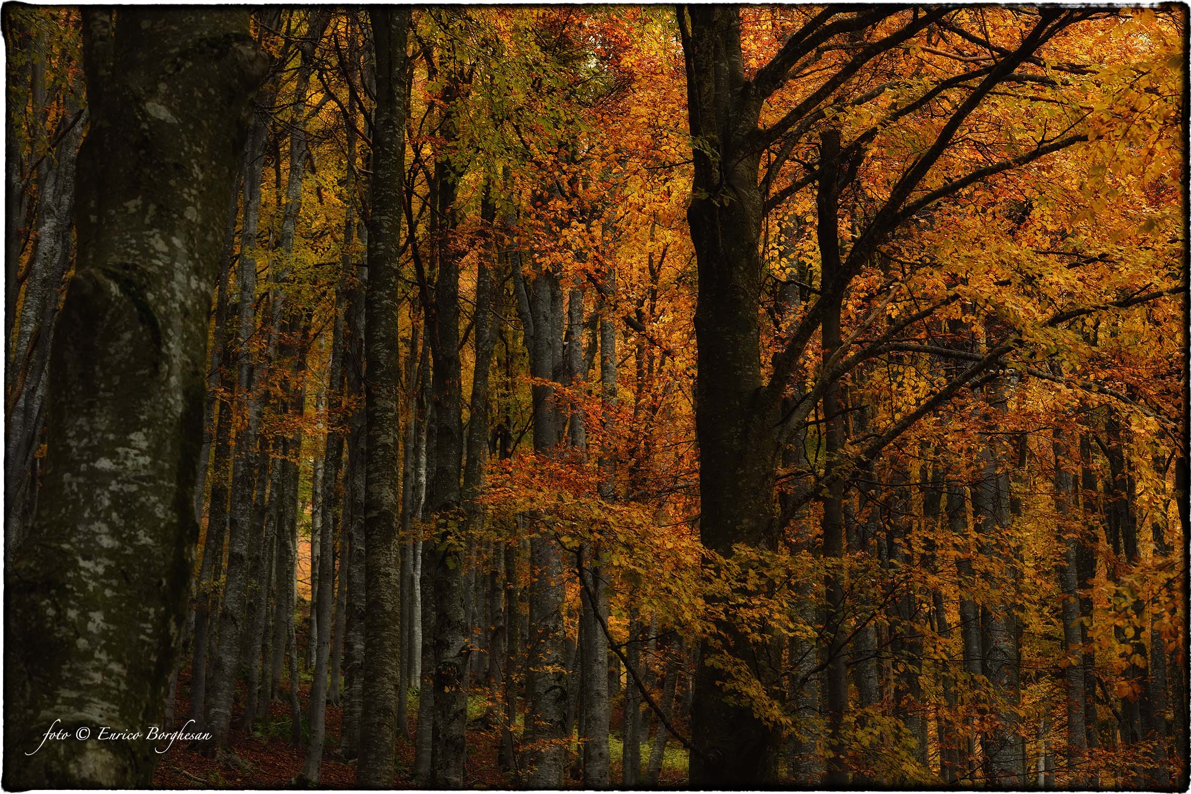 Autunno