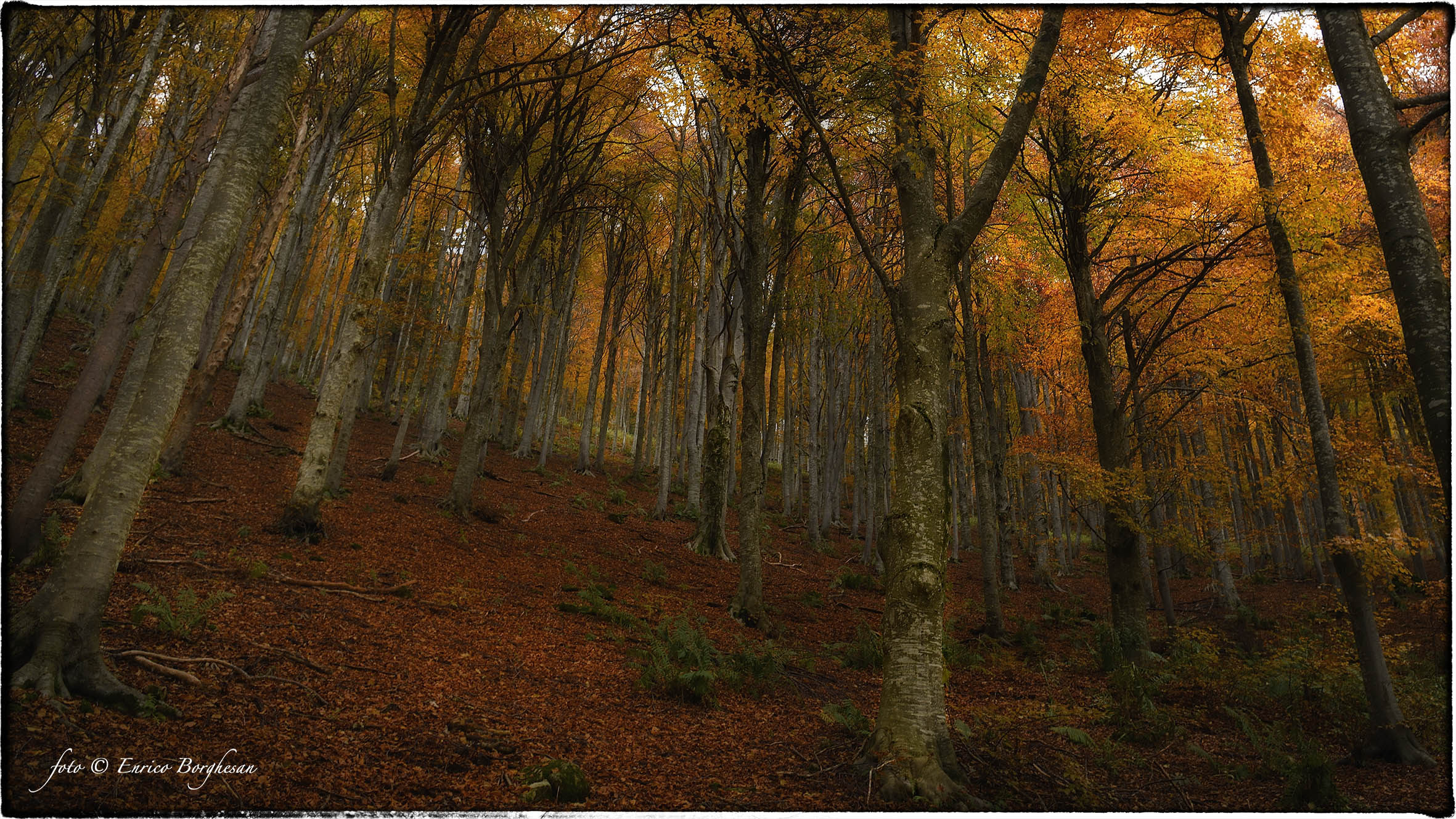 Autunno