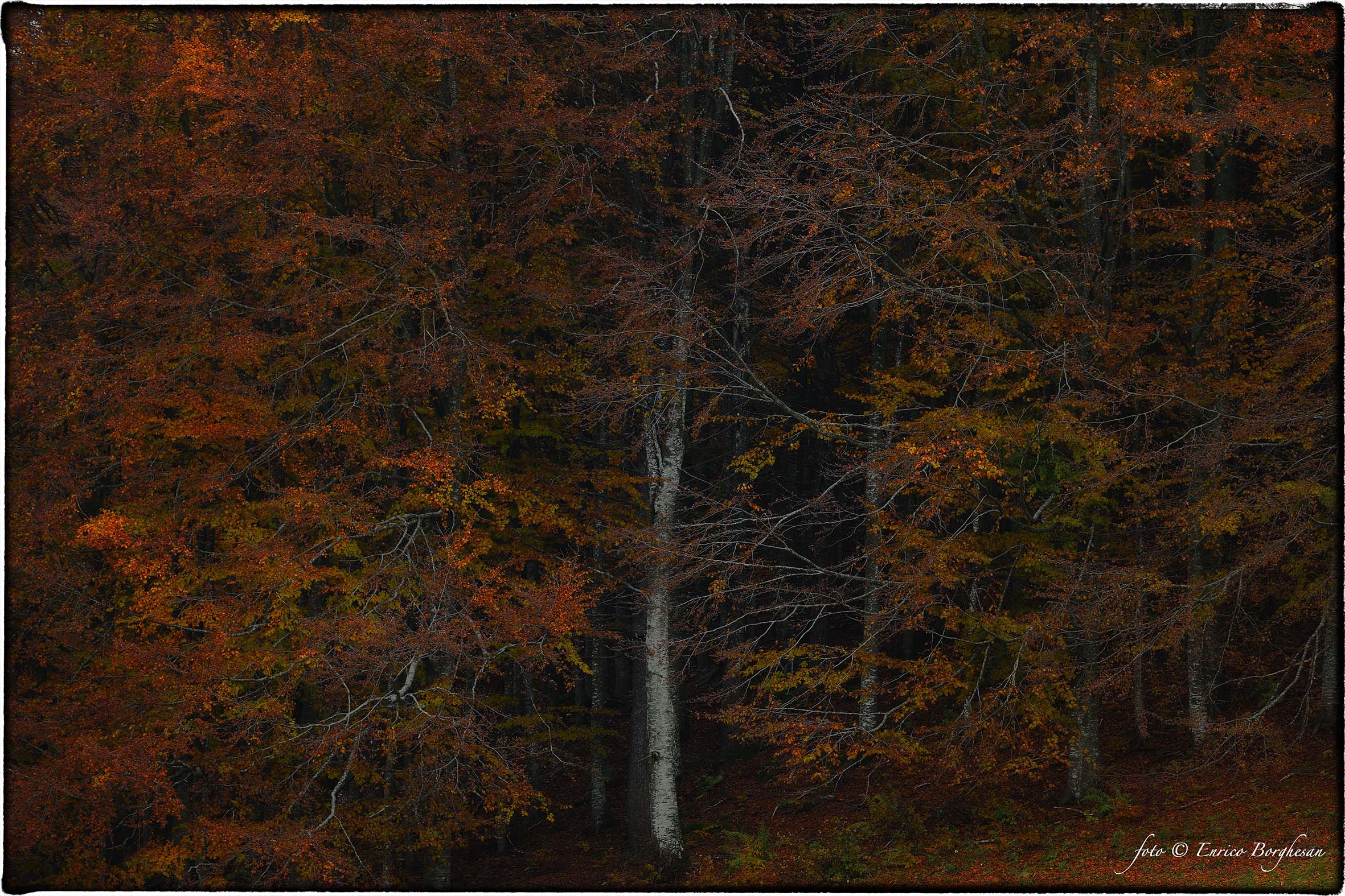 Autunno