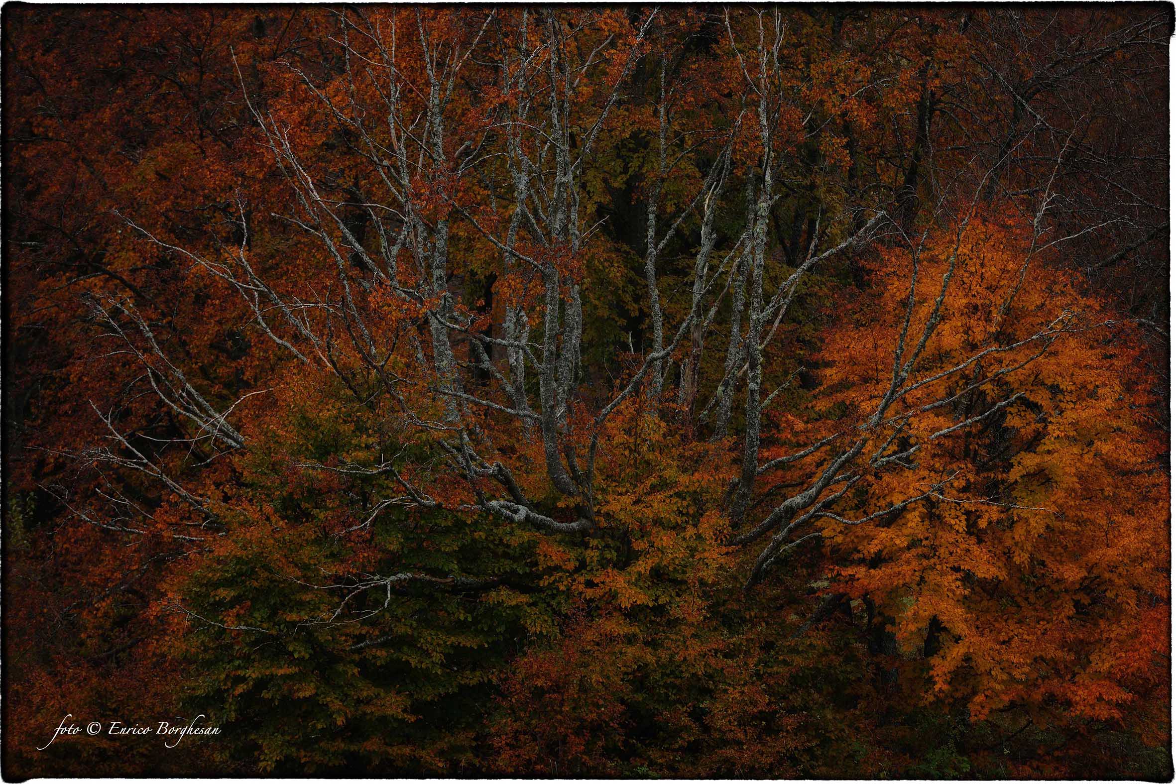Autunno