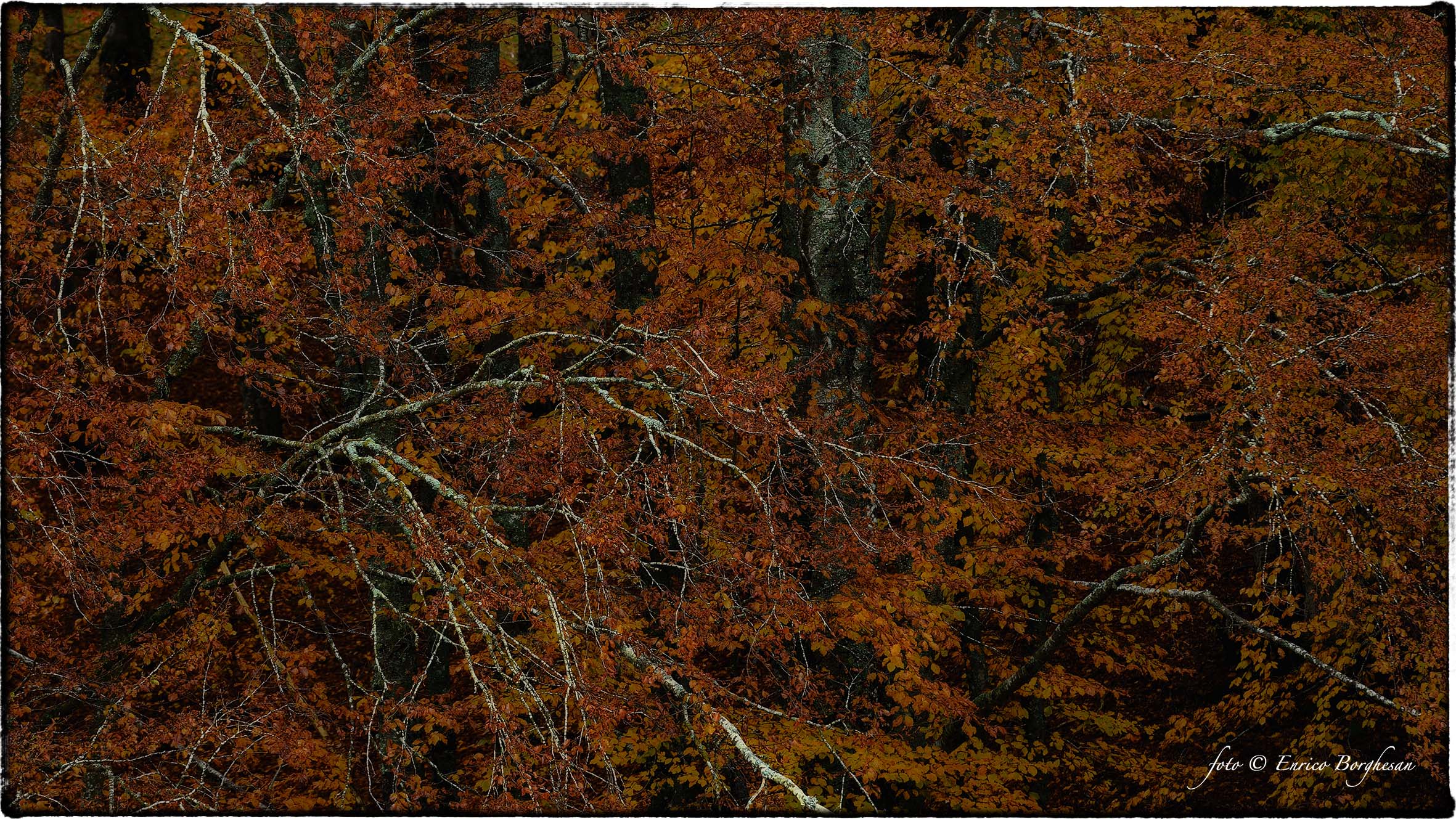 Autunno