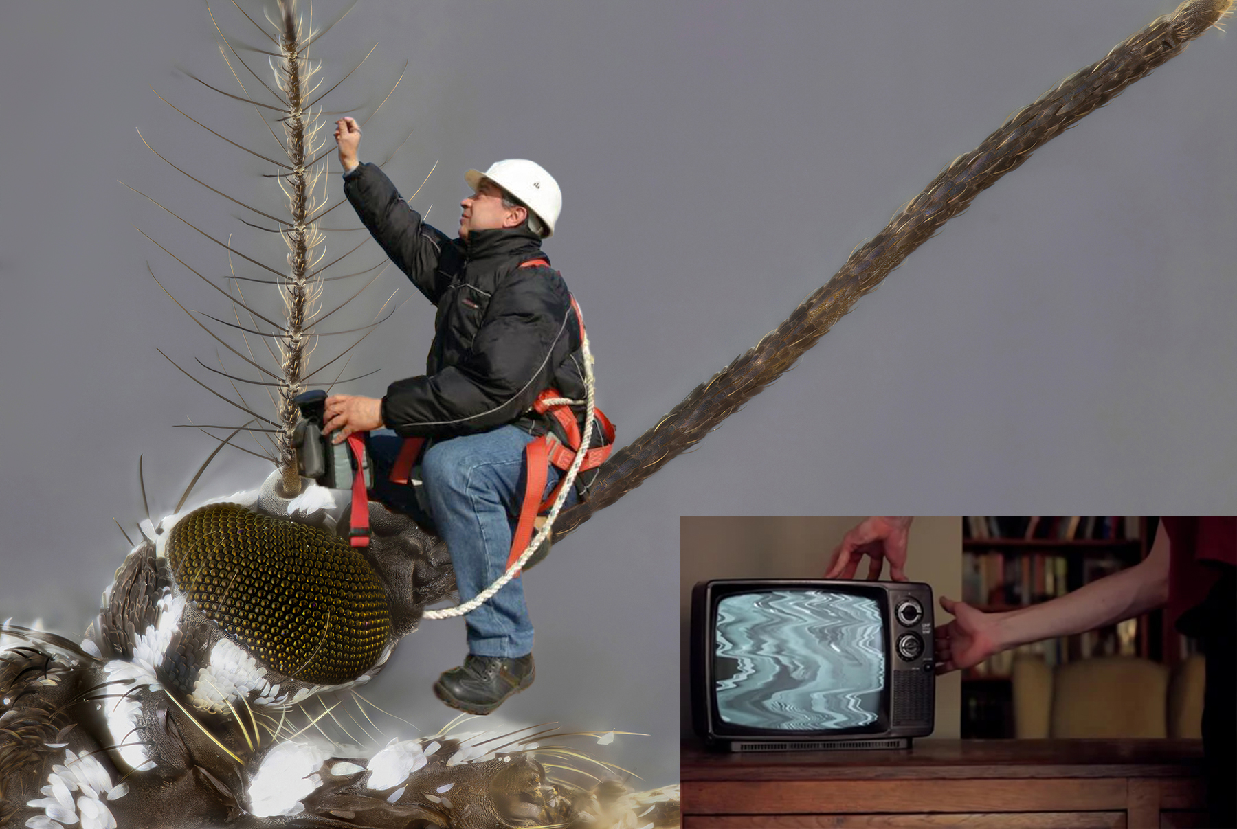 Call the technician!