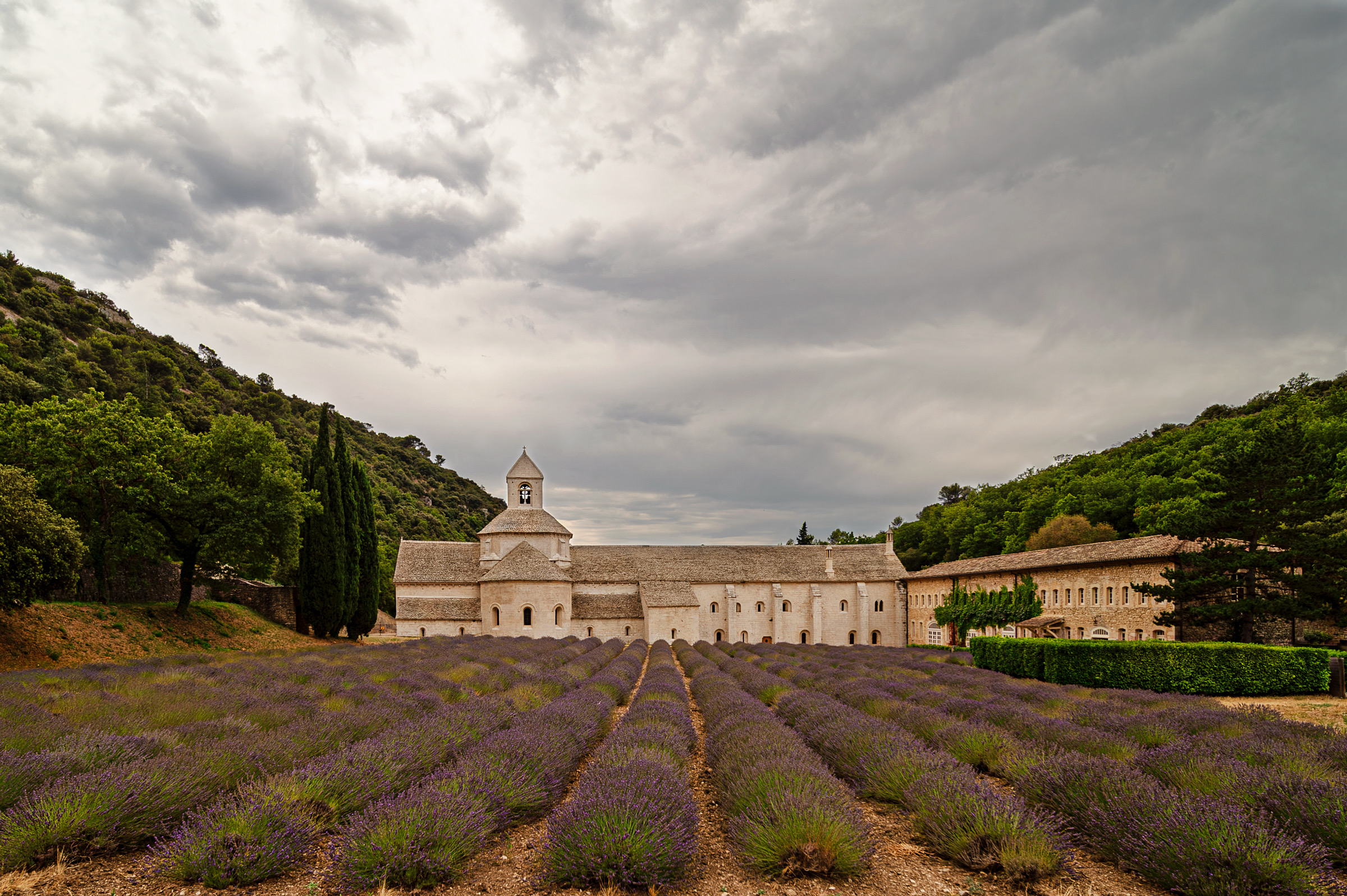 Senanque Abbey