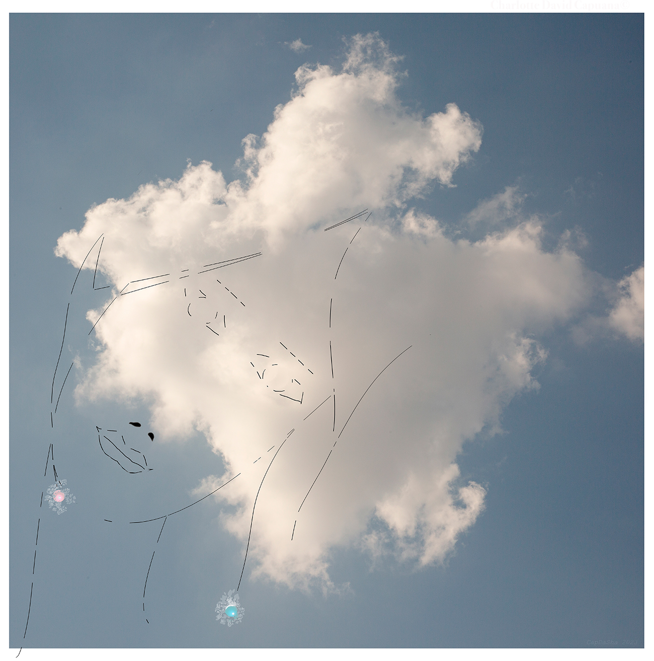 la forma delle nuvole