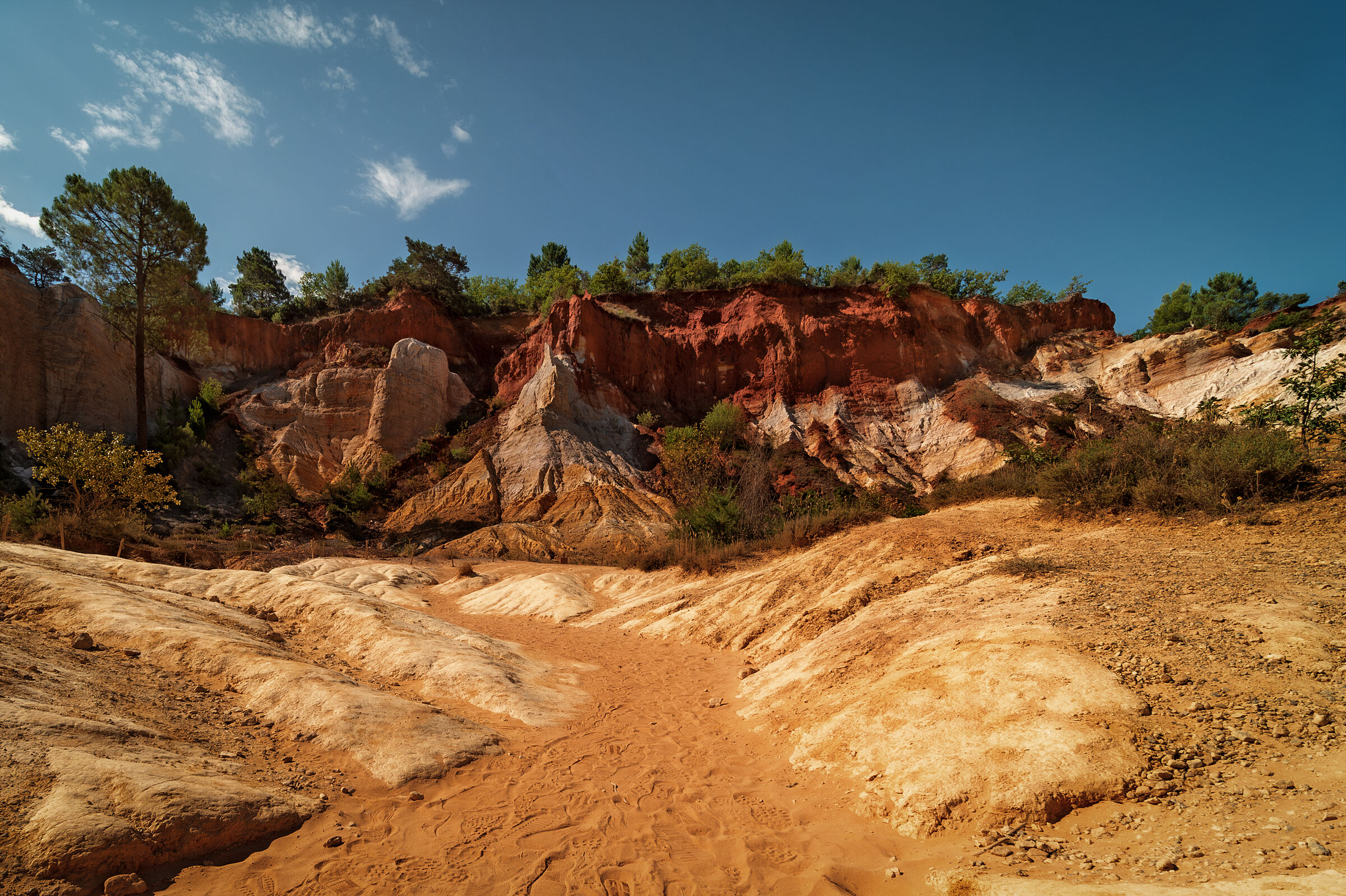 Colorado Provenciale