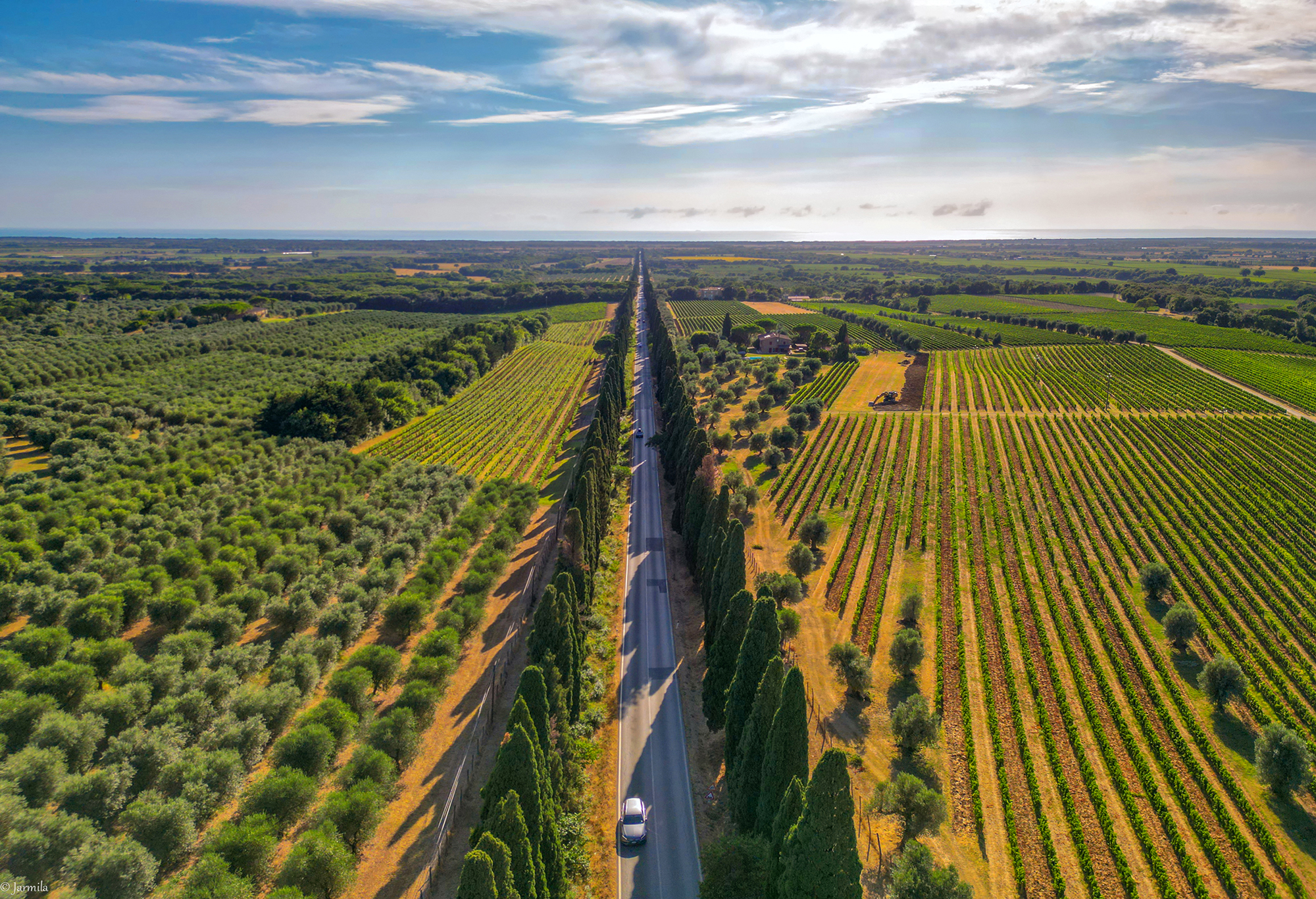 Bolgheri: tra cipressi, vigneti e uliveti
