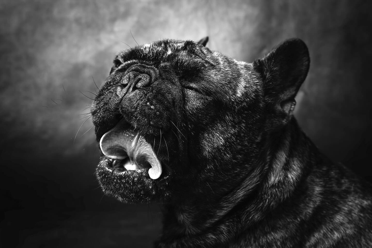 Che barba che noia….