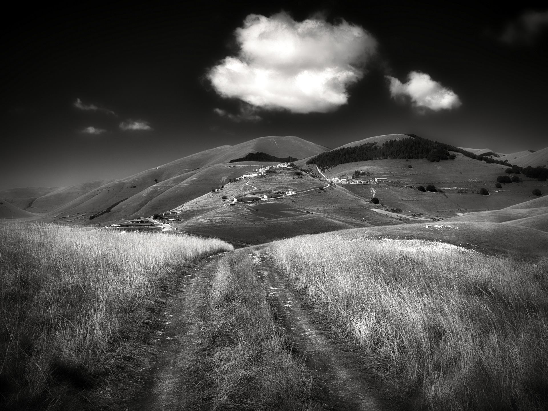 Sibillini - Castelluccio di Norcia (PG)