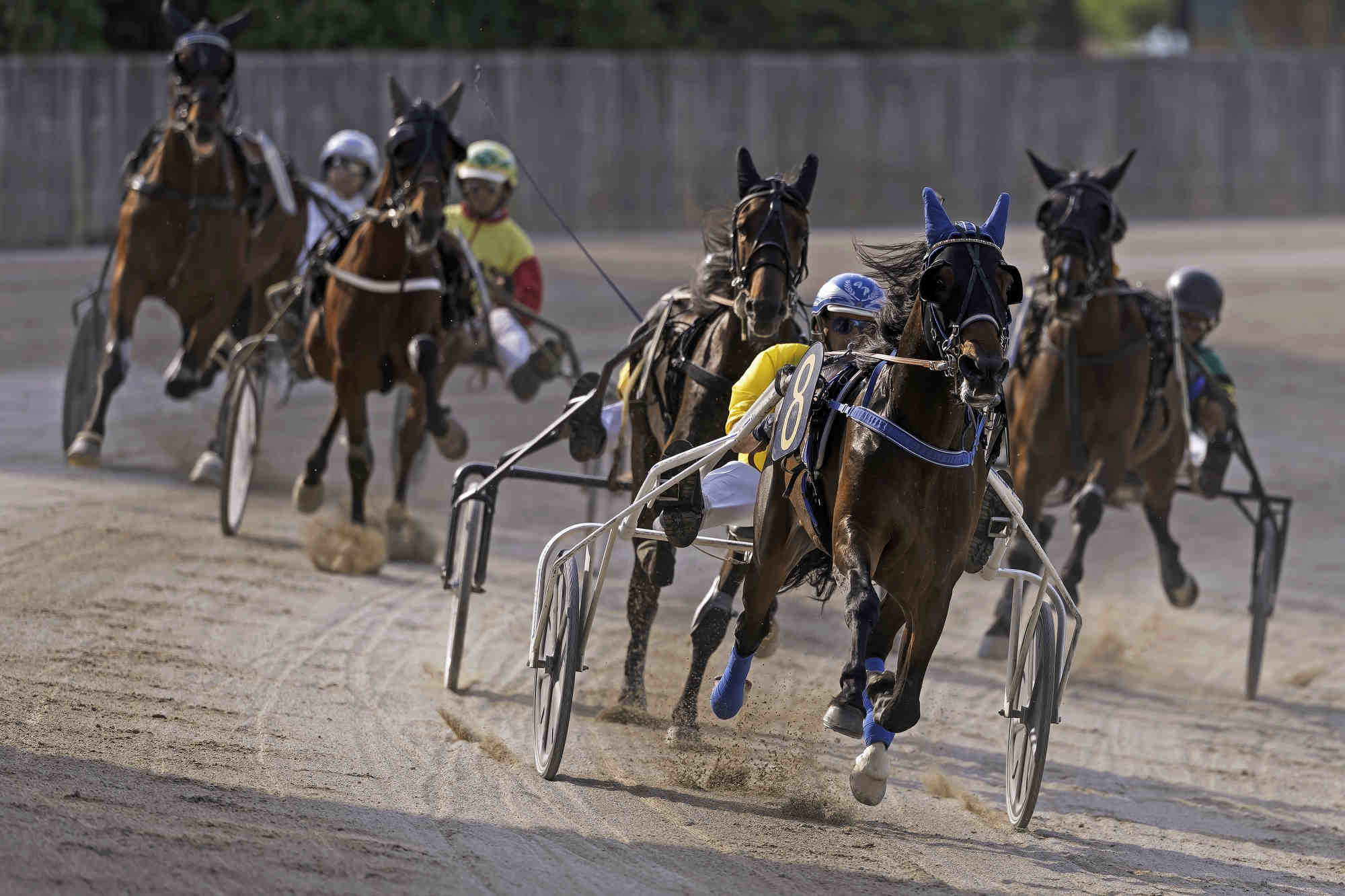 Le Padovanelle - Ippodromo v.s. Breda