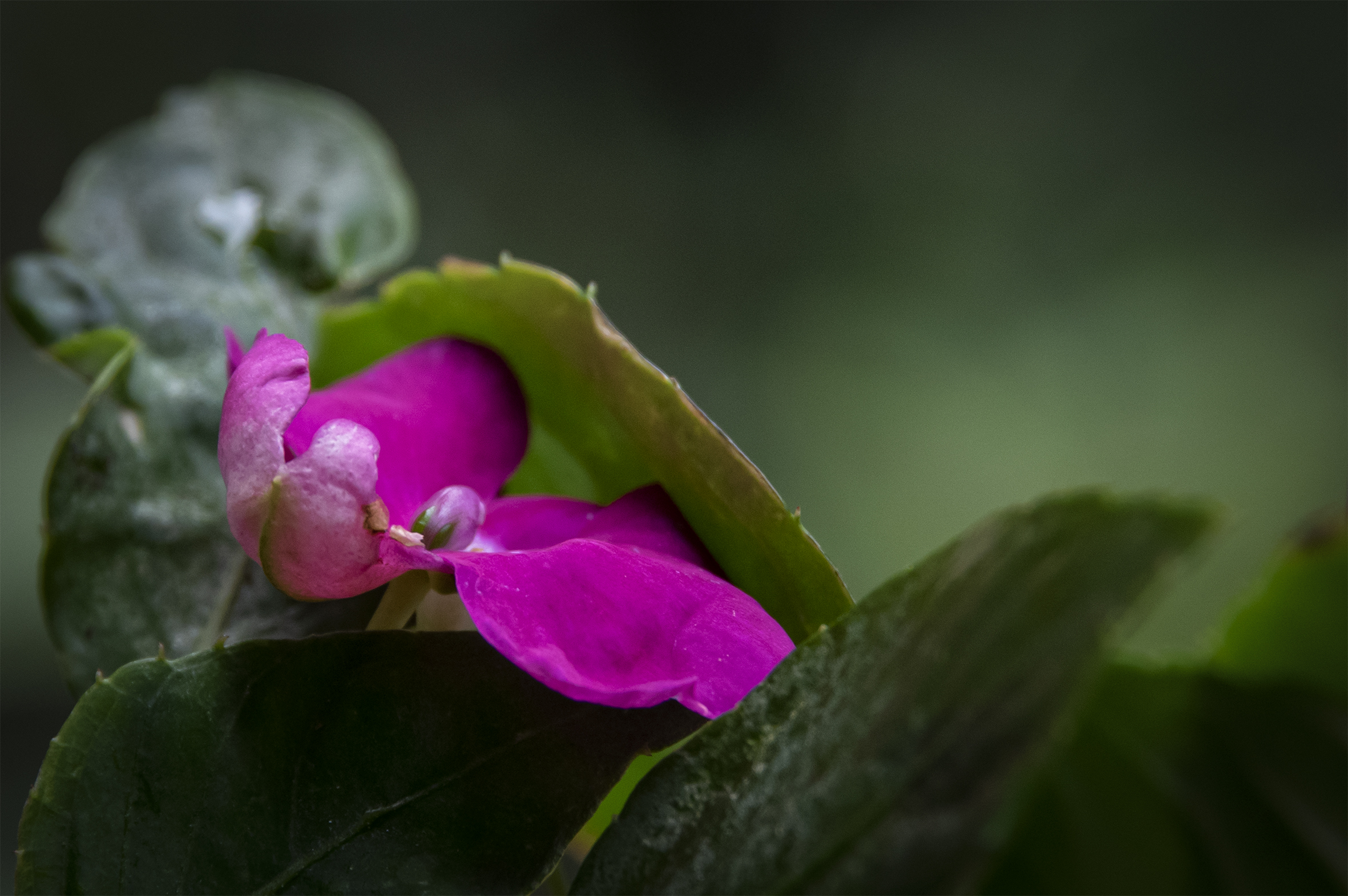 Untitled Photo