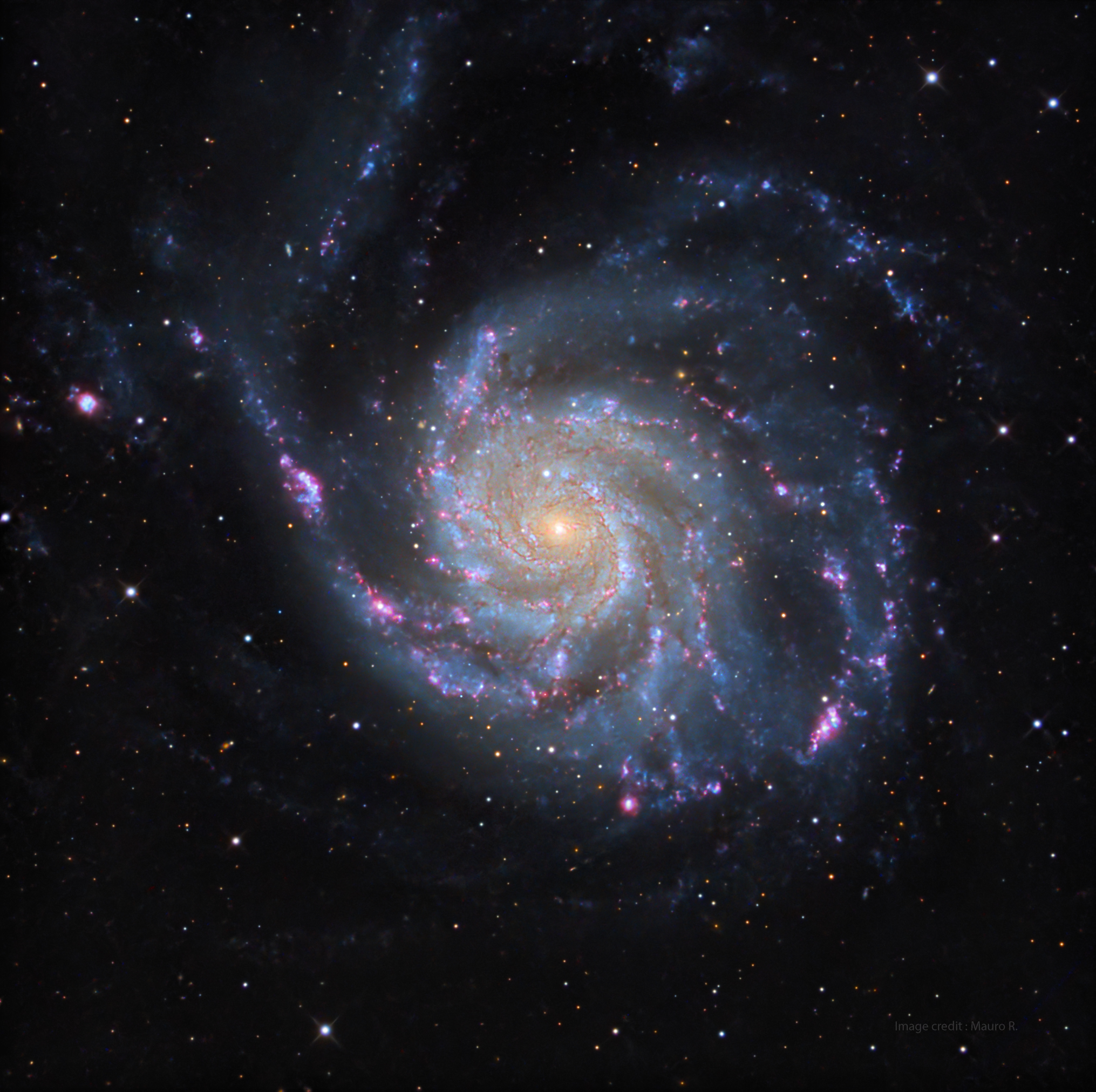 Galassia m101