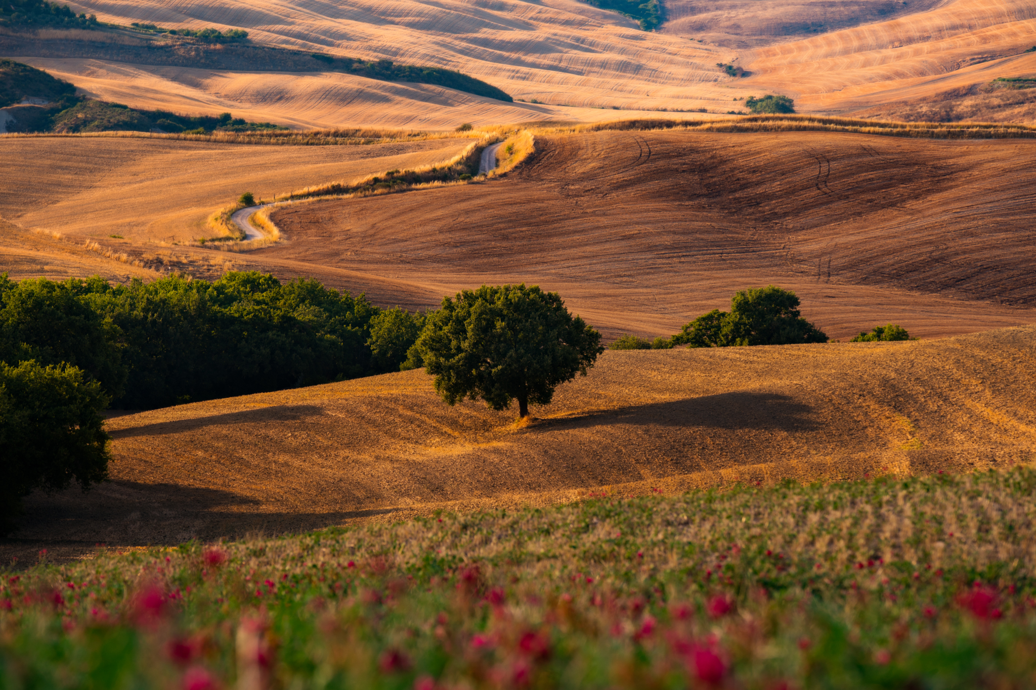 Crete Senesi