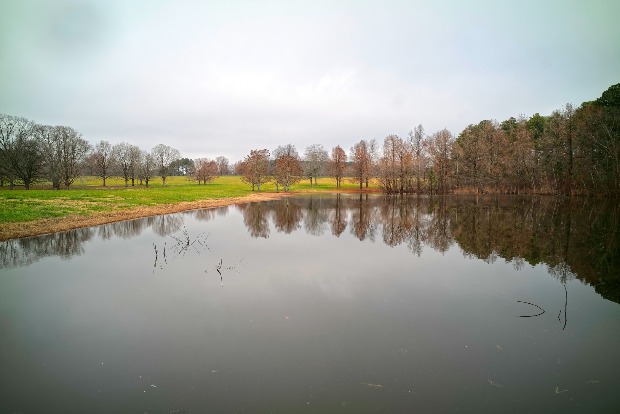 Milliken Park Panasonic S1R Leica Elmar-M 24mm F3.8
