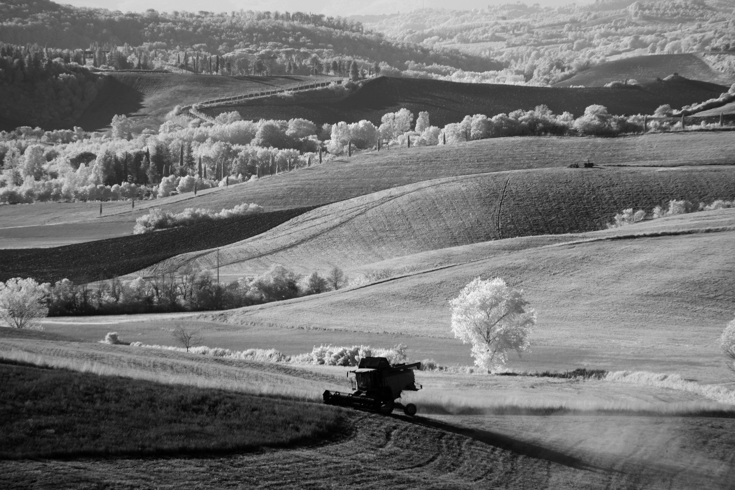 Harvesting on the hills