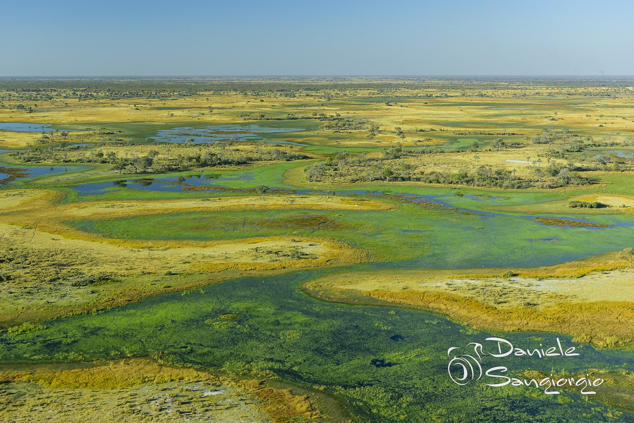 The colours of the Okavango