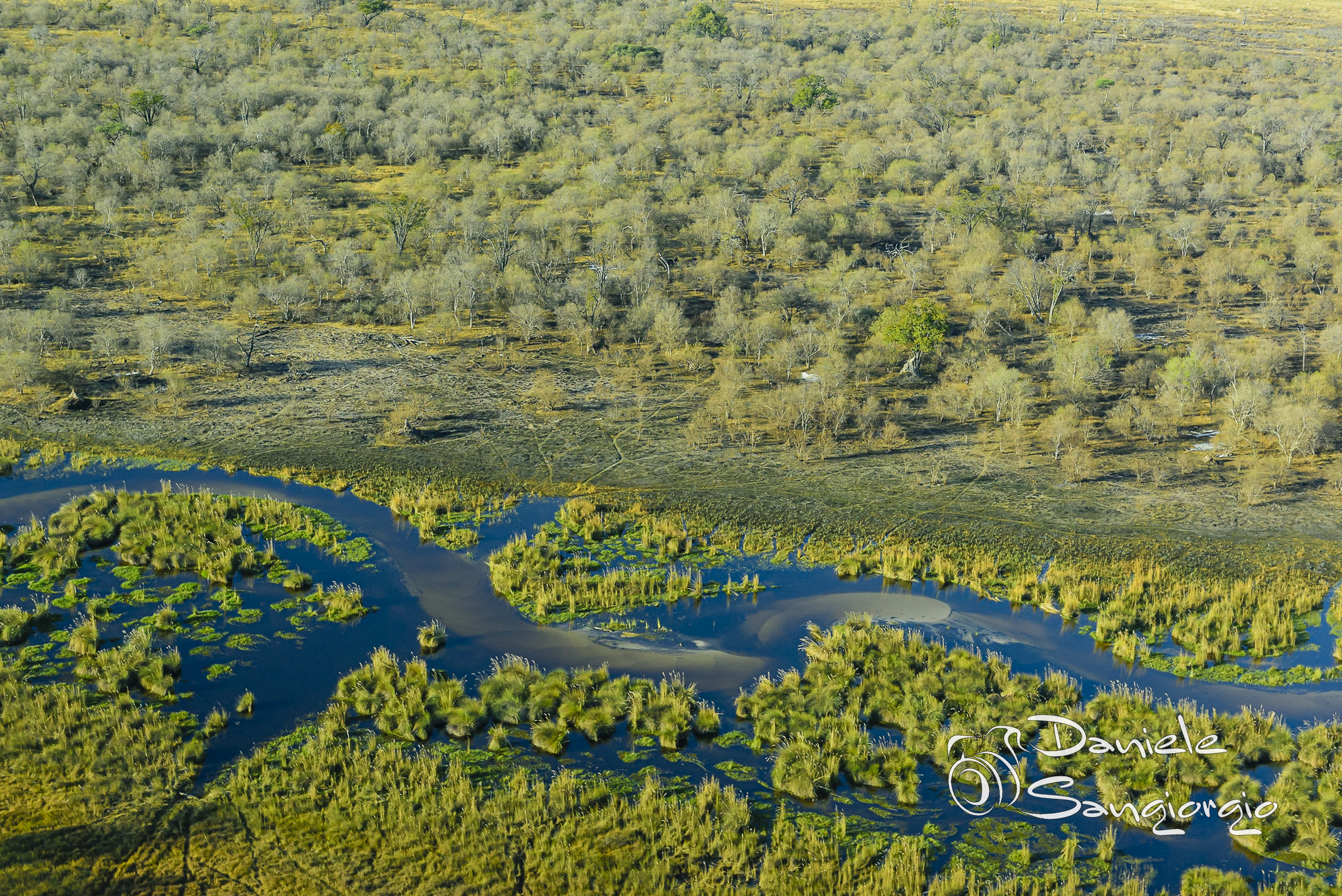 The vegetation of the Okavango