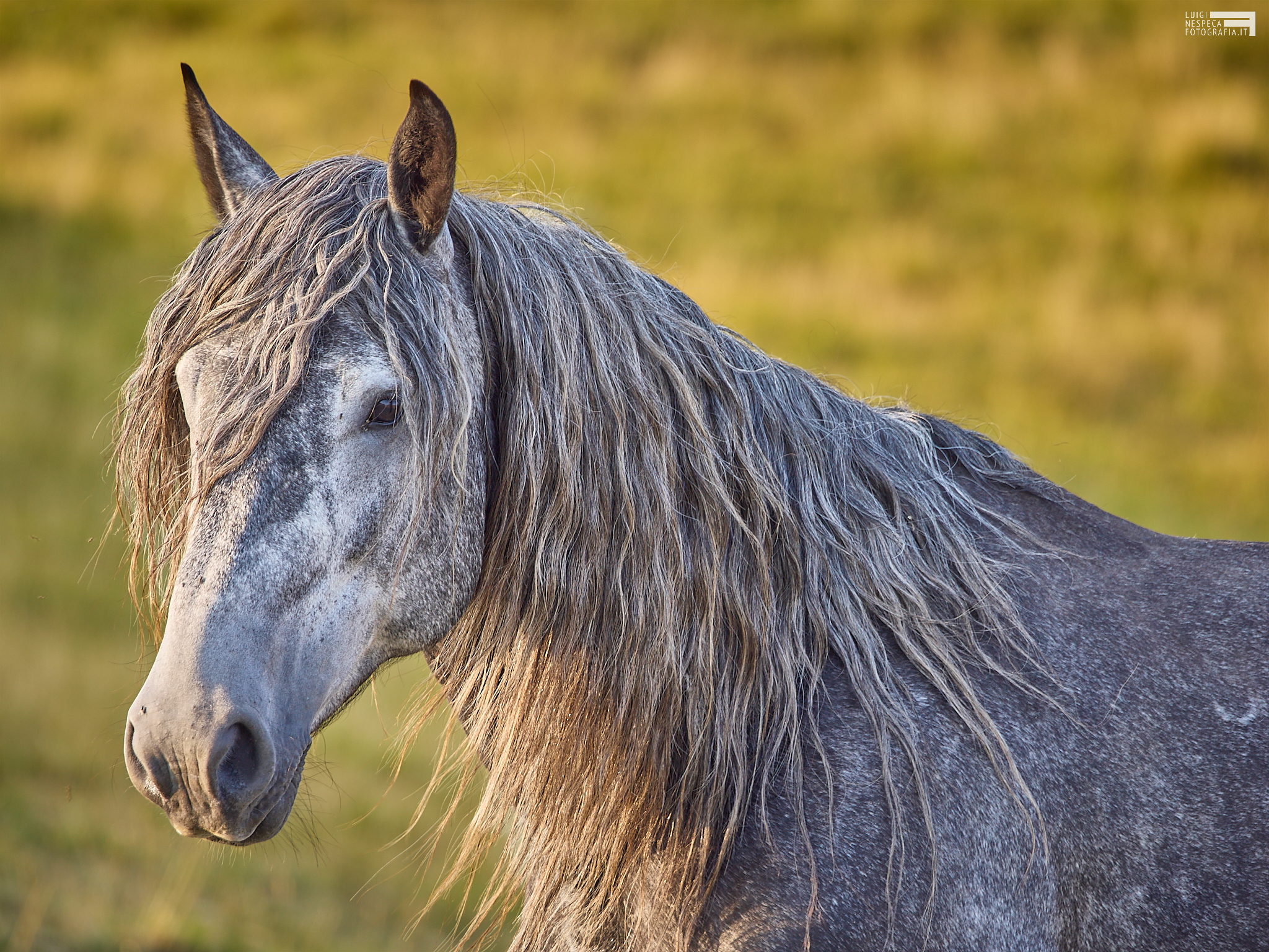 Horse riding in the Sibillini Mountains