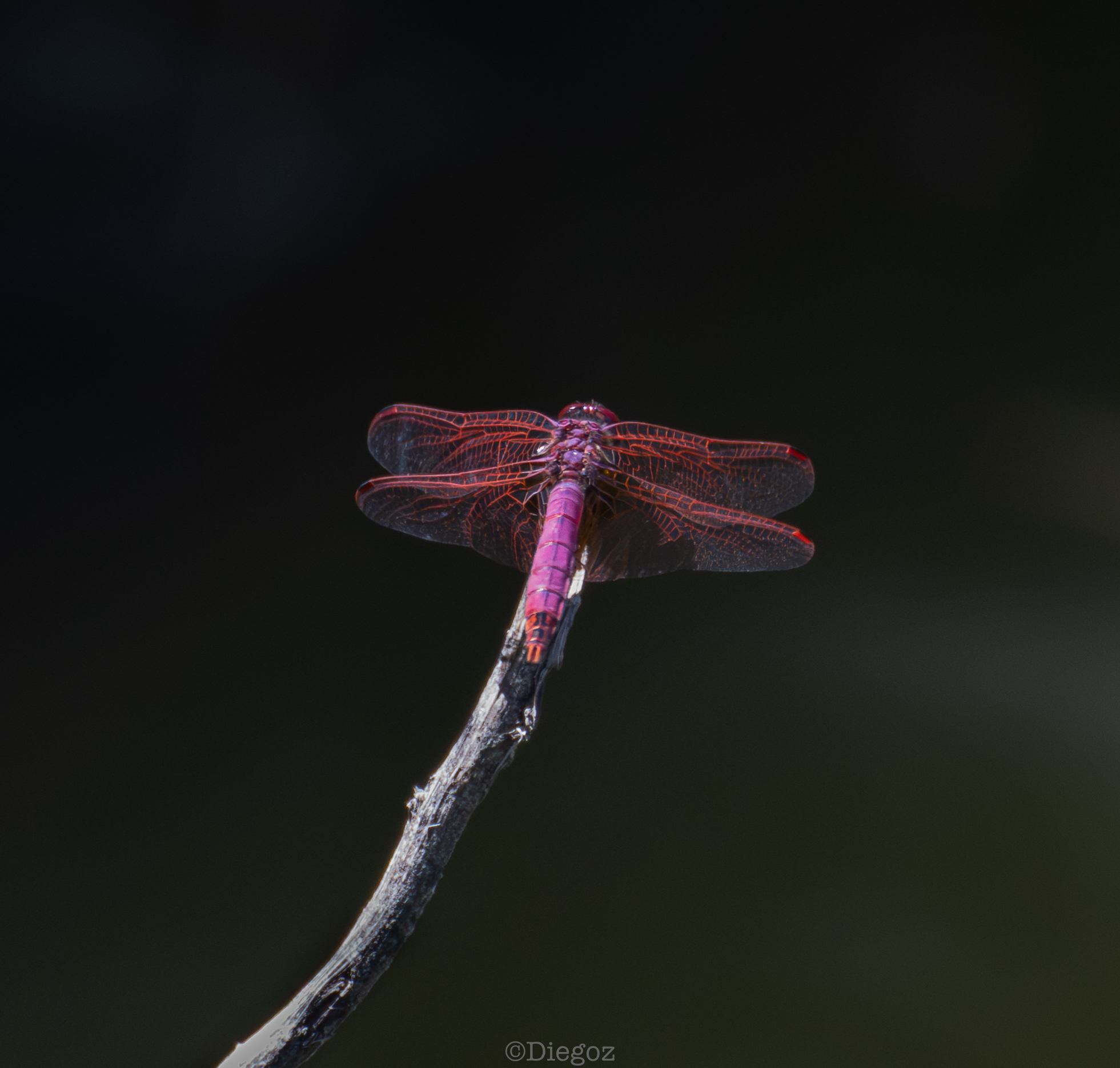 Untitled Photo