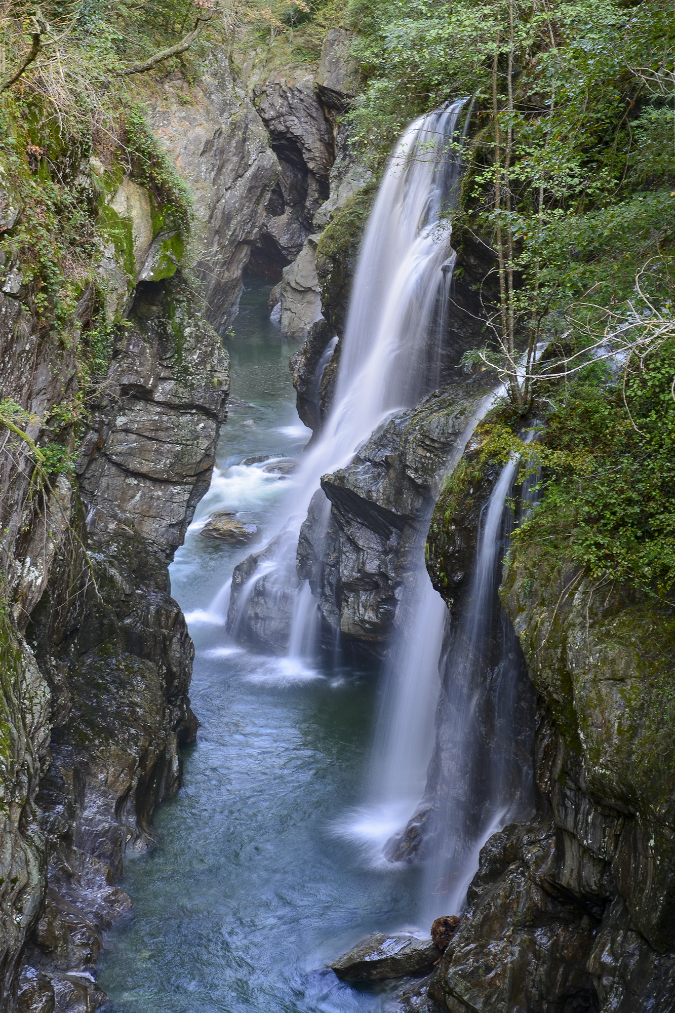 Orrido "paradiso dei cani"