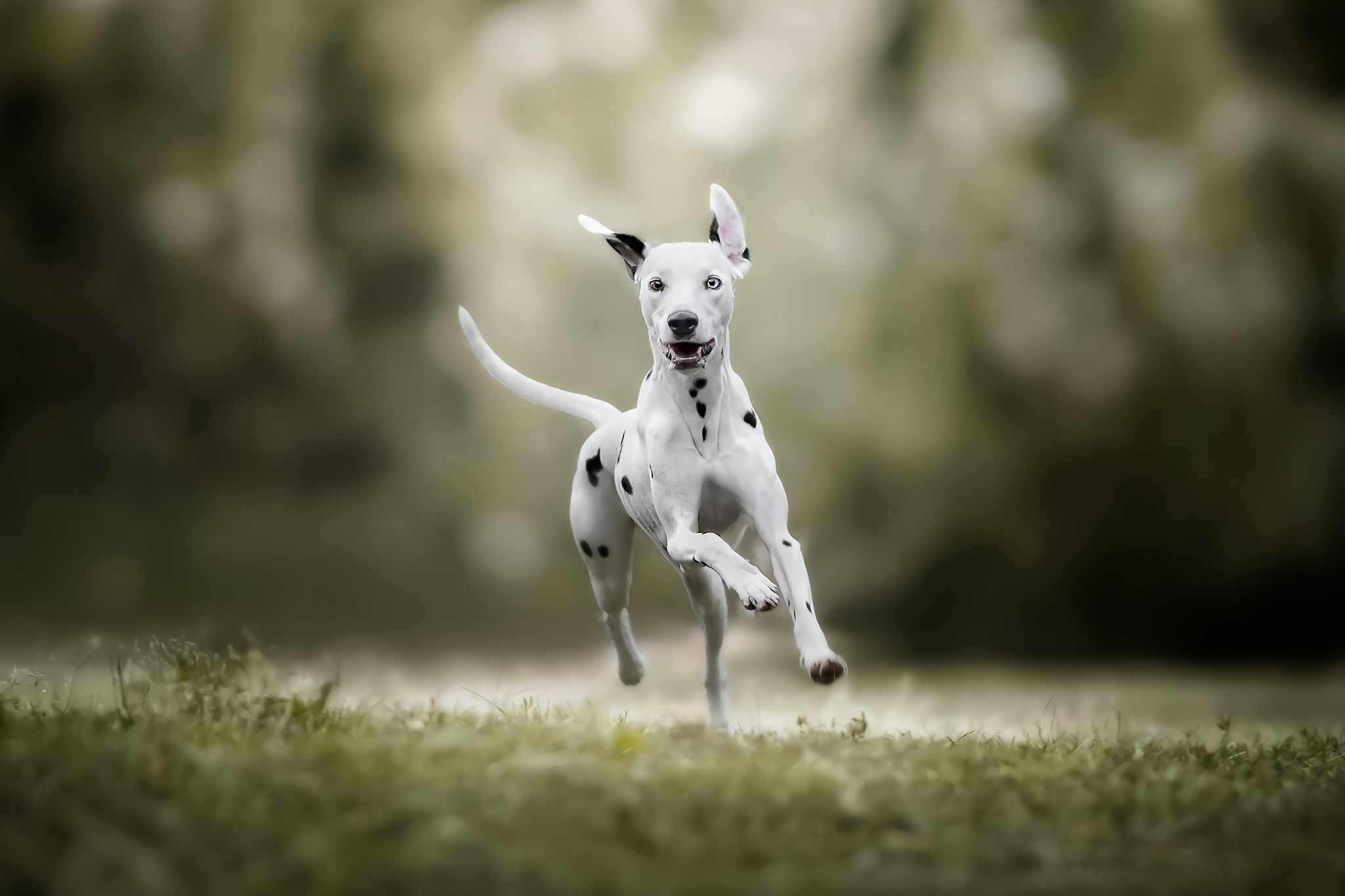 RUN RUN RUN