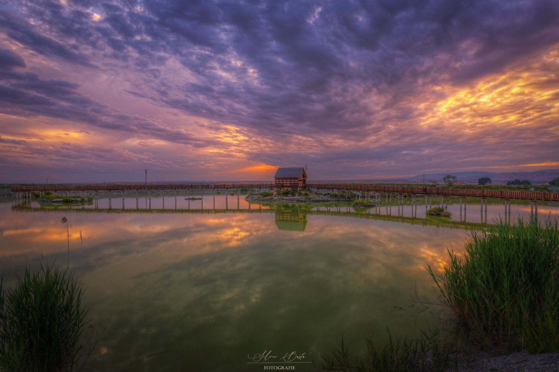 OASIS LAGUNA DEL RE -FG