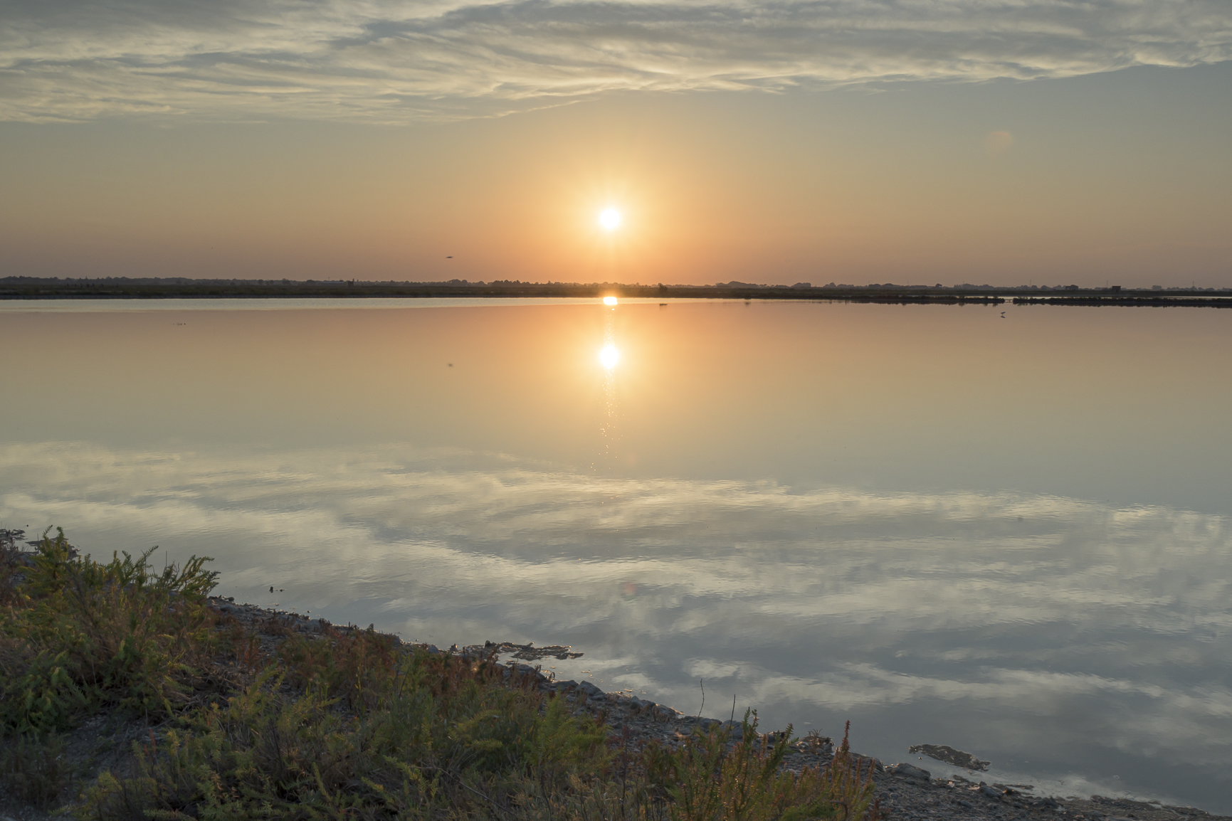 Saline di Cervia