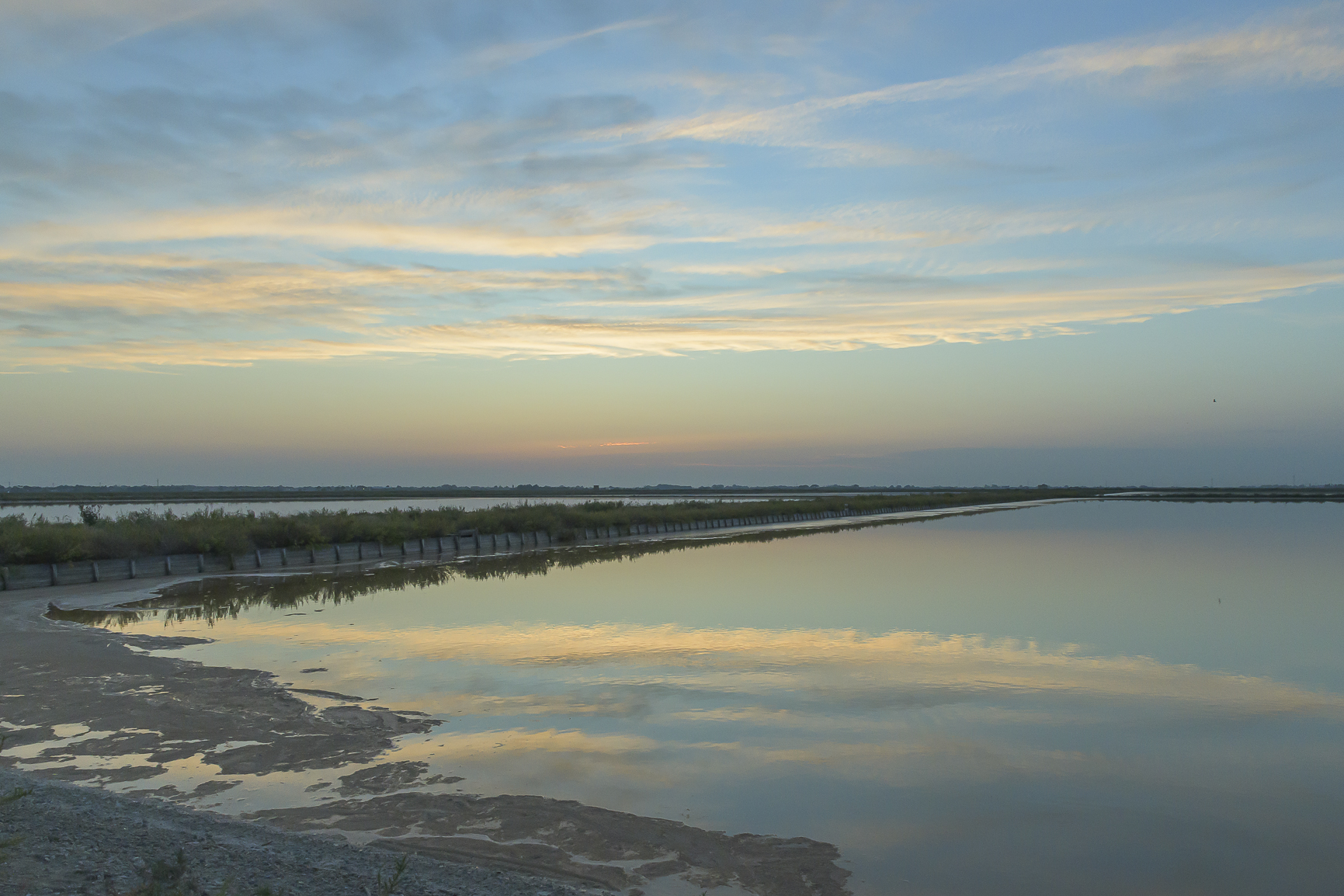 Saline di Cervia