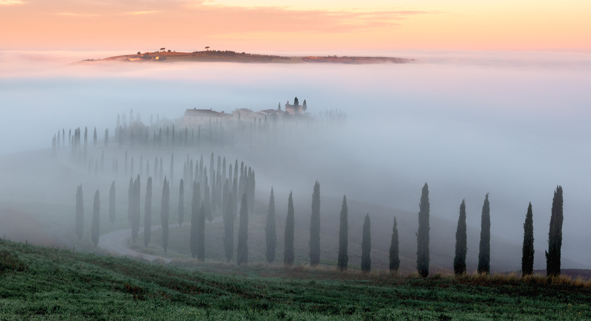 il baccoleno come non lo avete mai visto