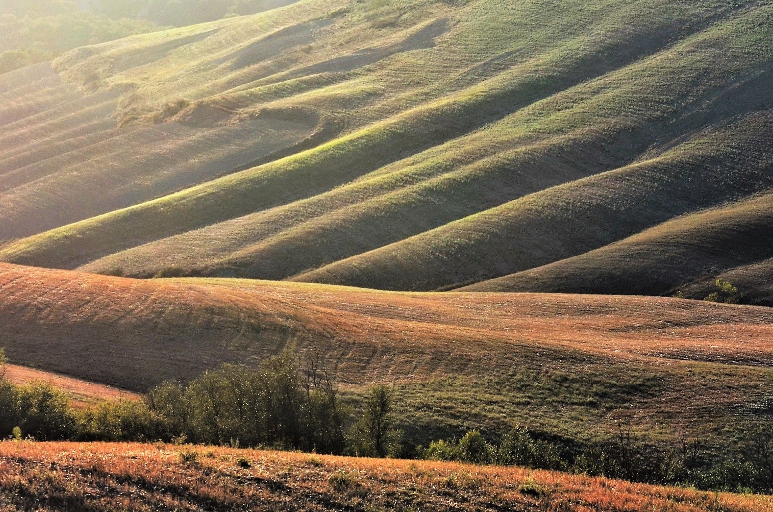 Crete senesi