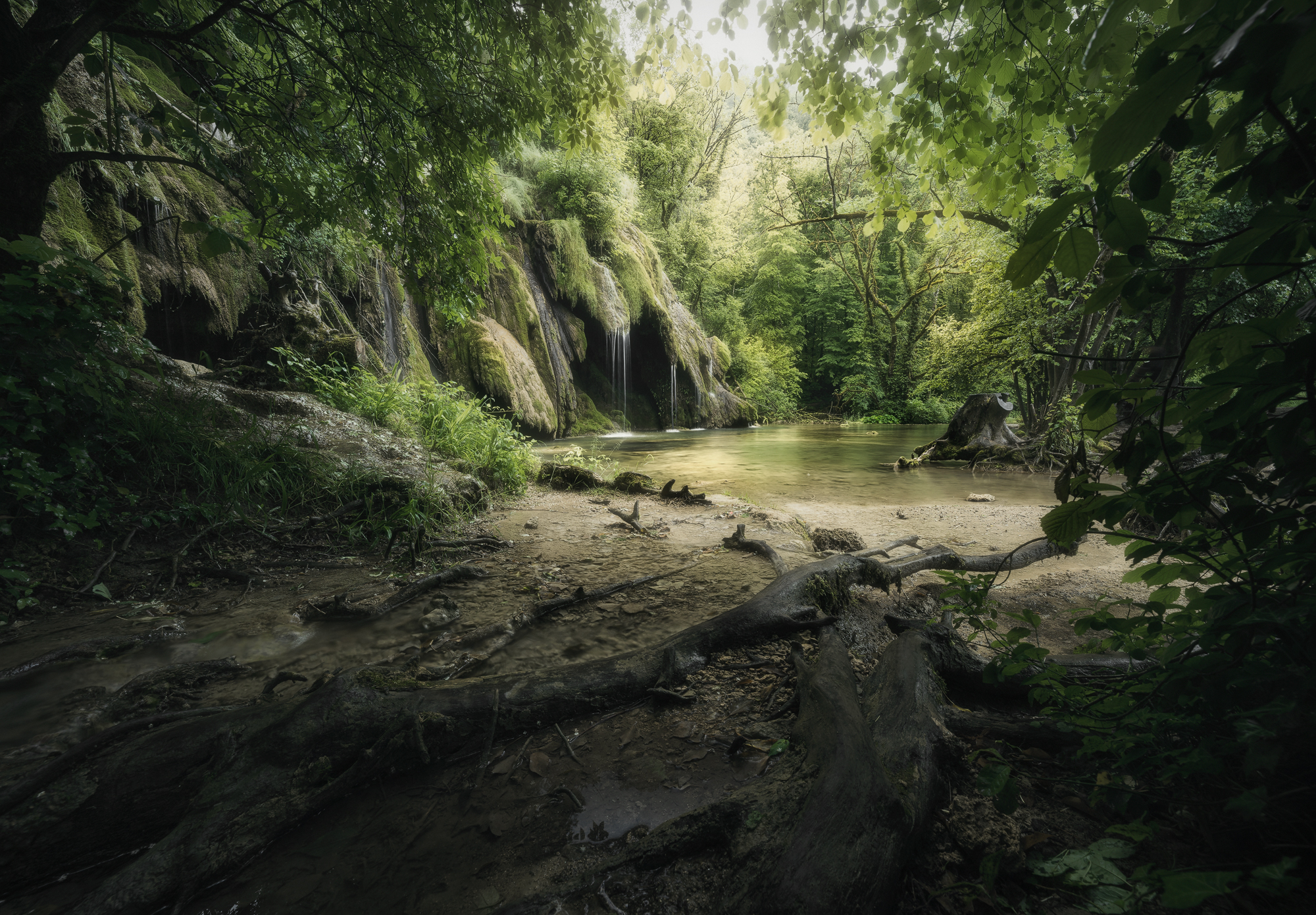 Fountain of eternal youth