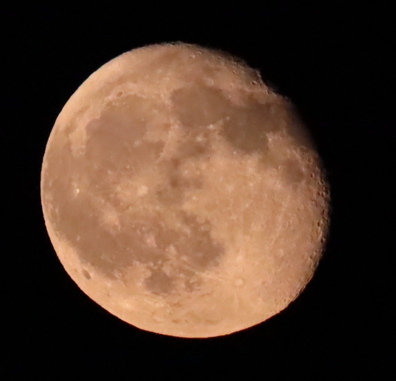 Pink Moon