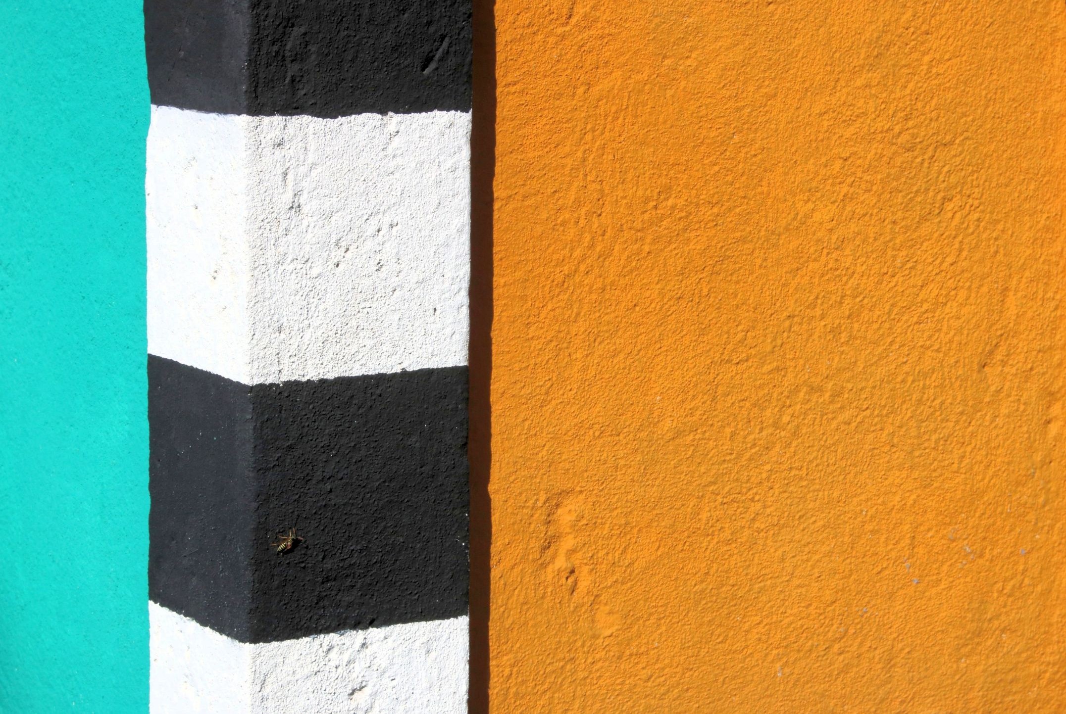 Bianconero assediato